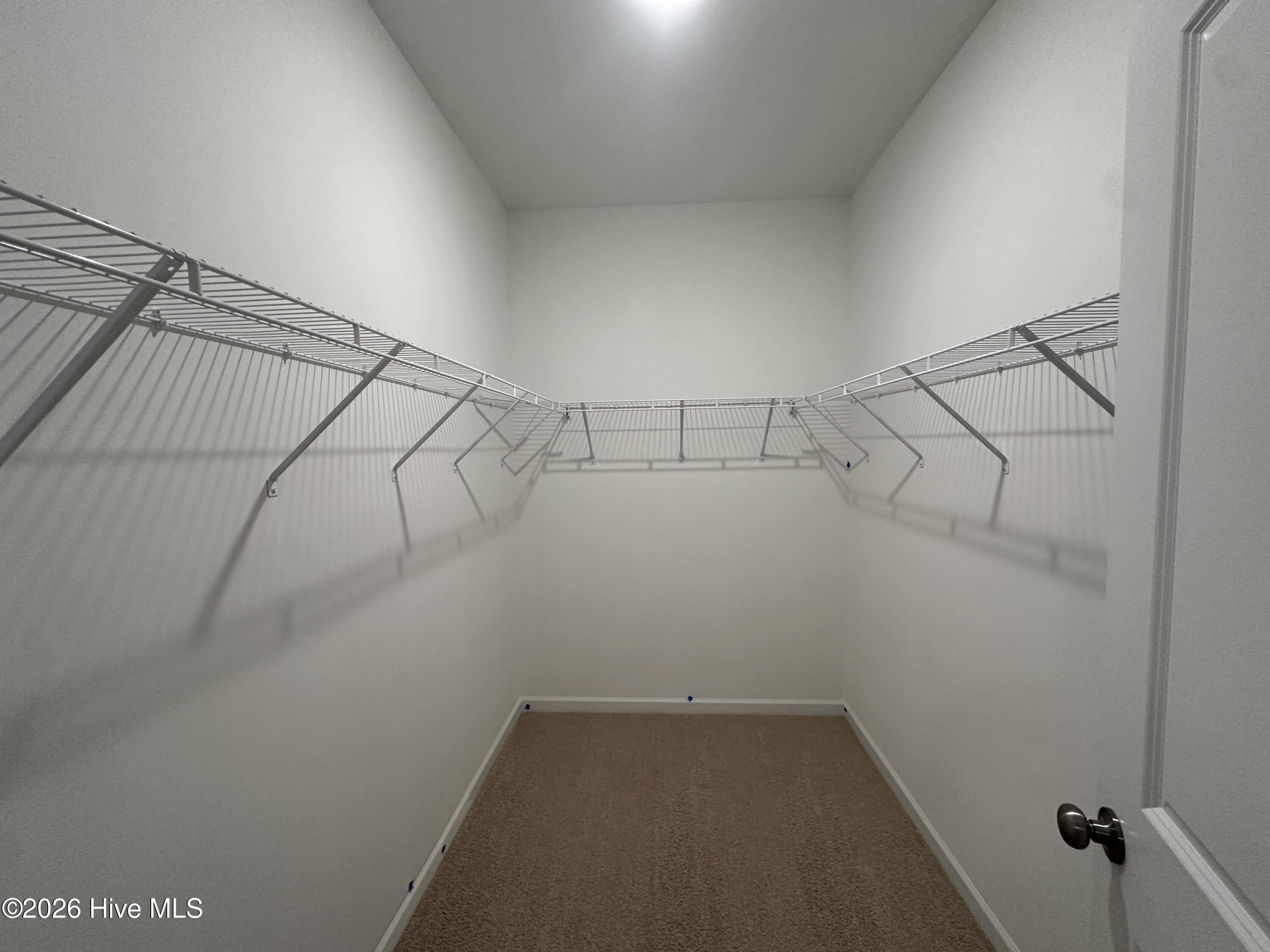 100538321 | Photo 22