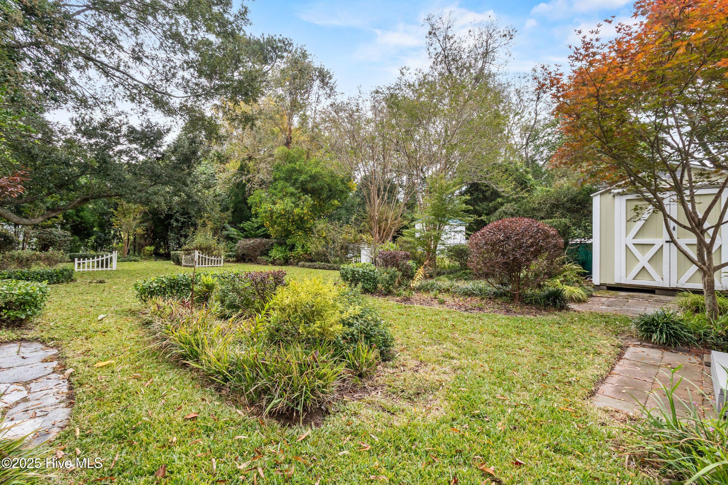 100538519 | Photo 23