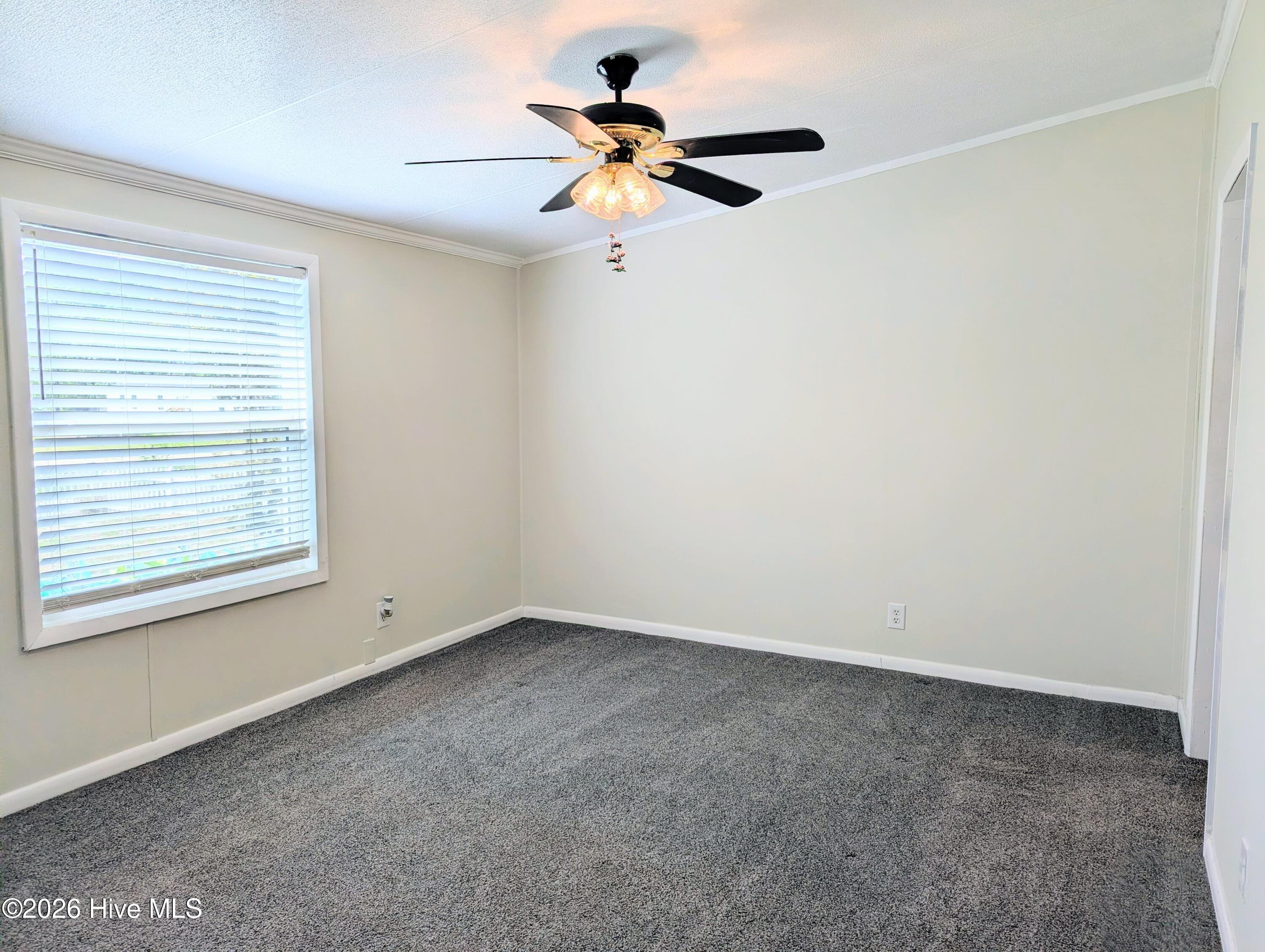 100556092 | Photo 13