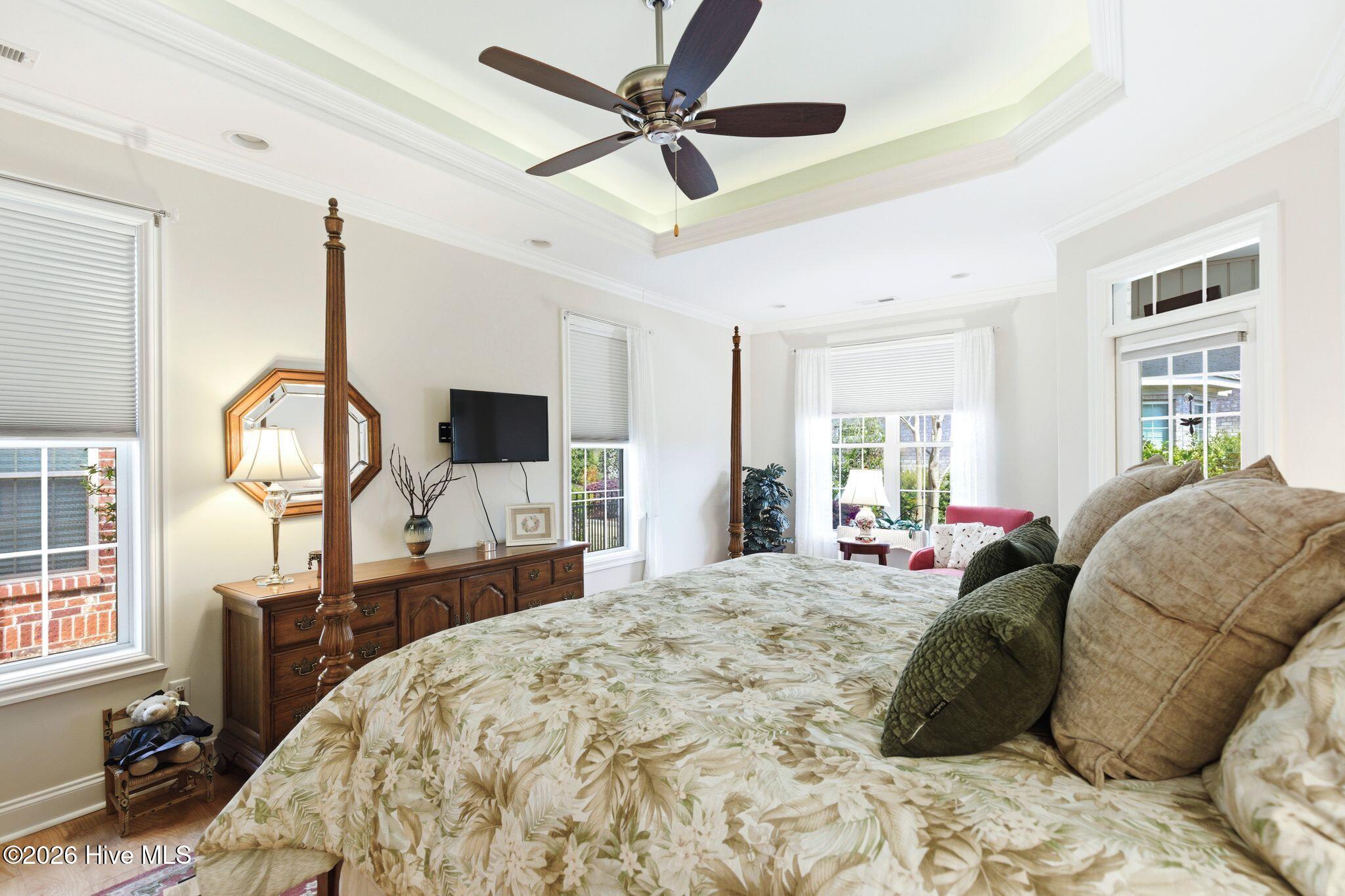 100564564 | Photo 17