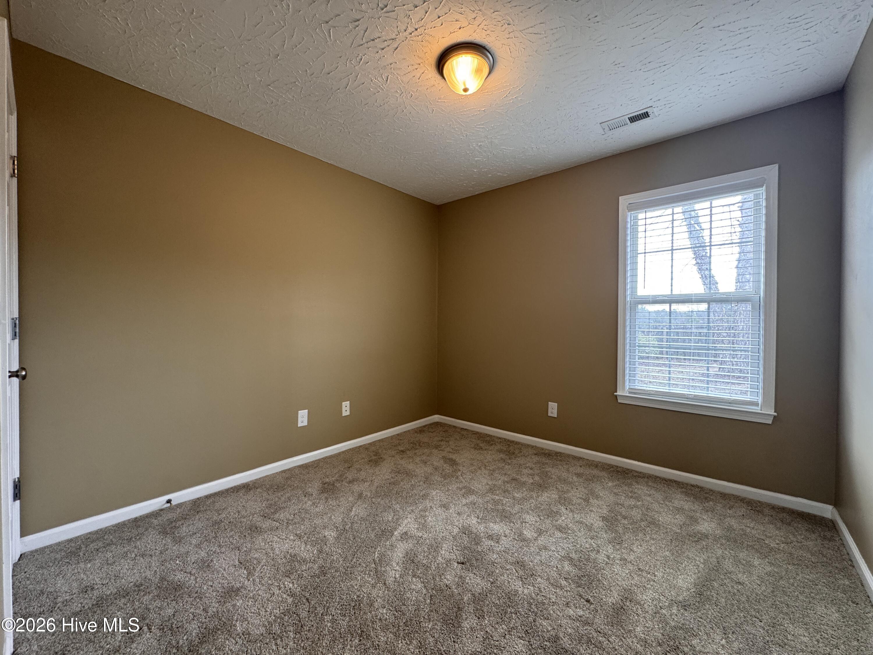 100556334 | Photo 15