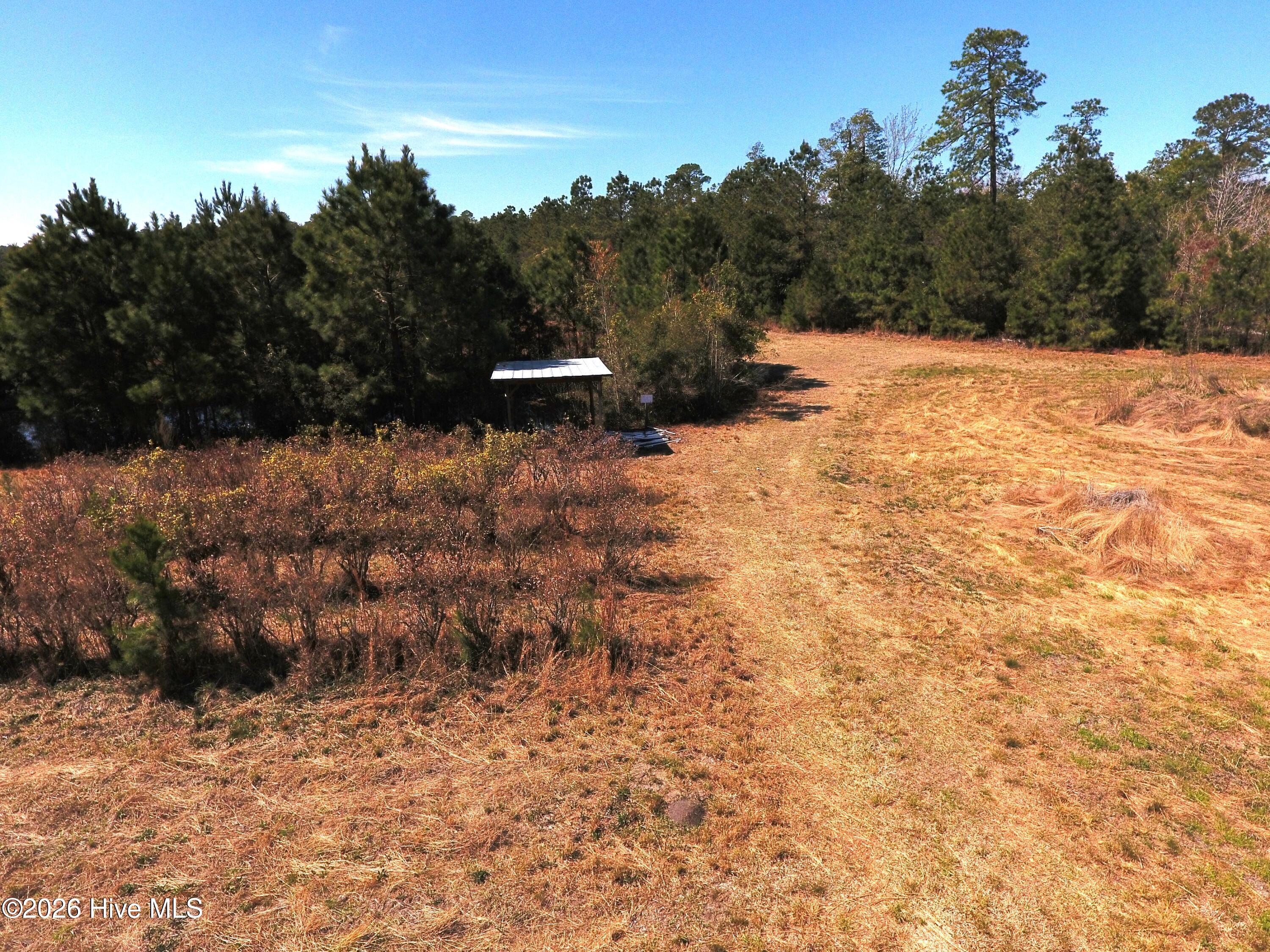 Shirley Johnson - MLS Number: 100562782