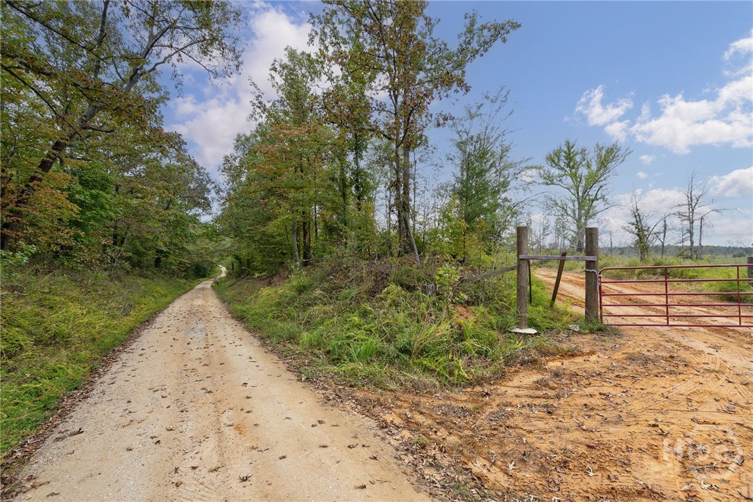 Homes for sale in Carlton, GA | 00 New Hope Vesta, Carlton, GA 30627 | MLS# CL343042