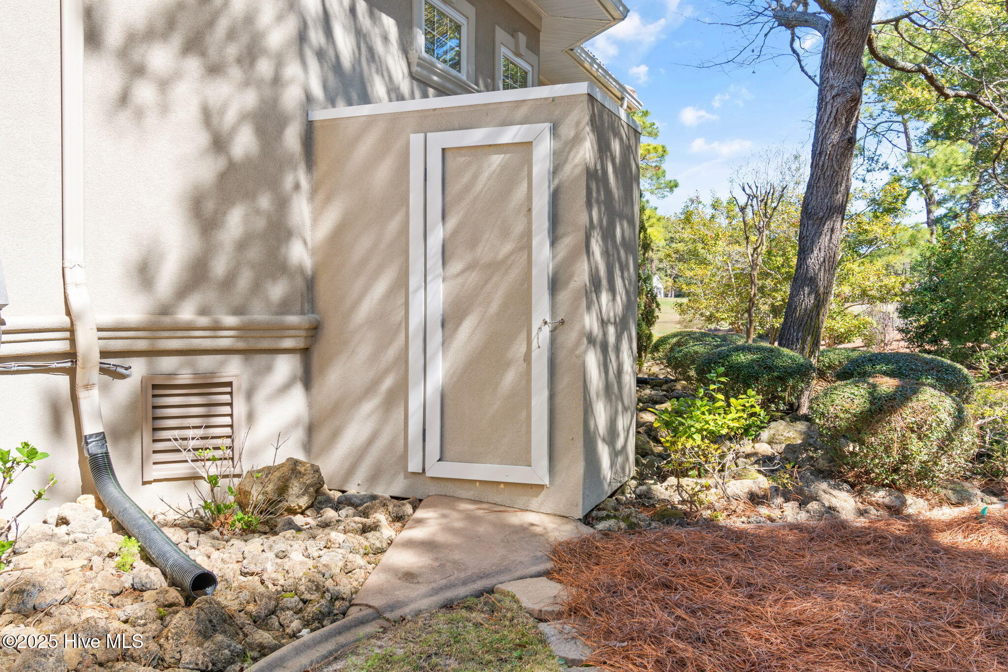 100498413 | Photo 64