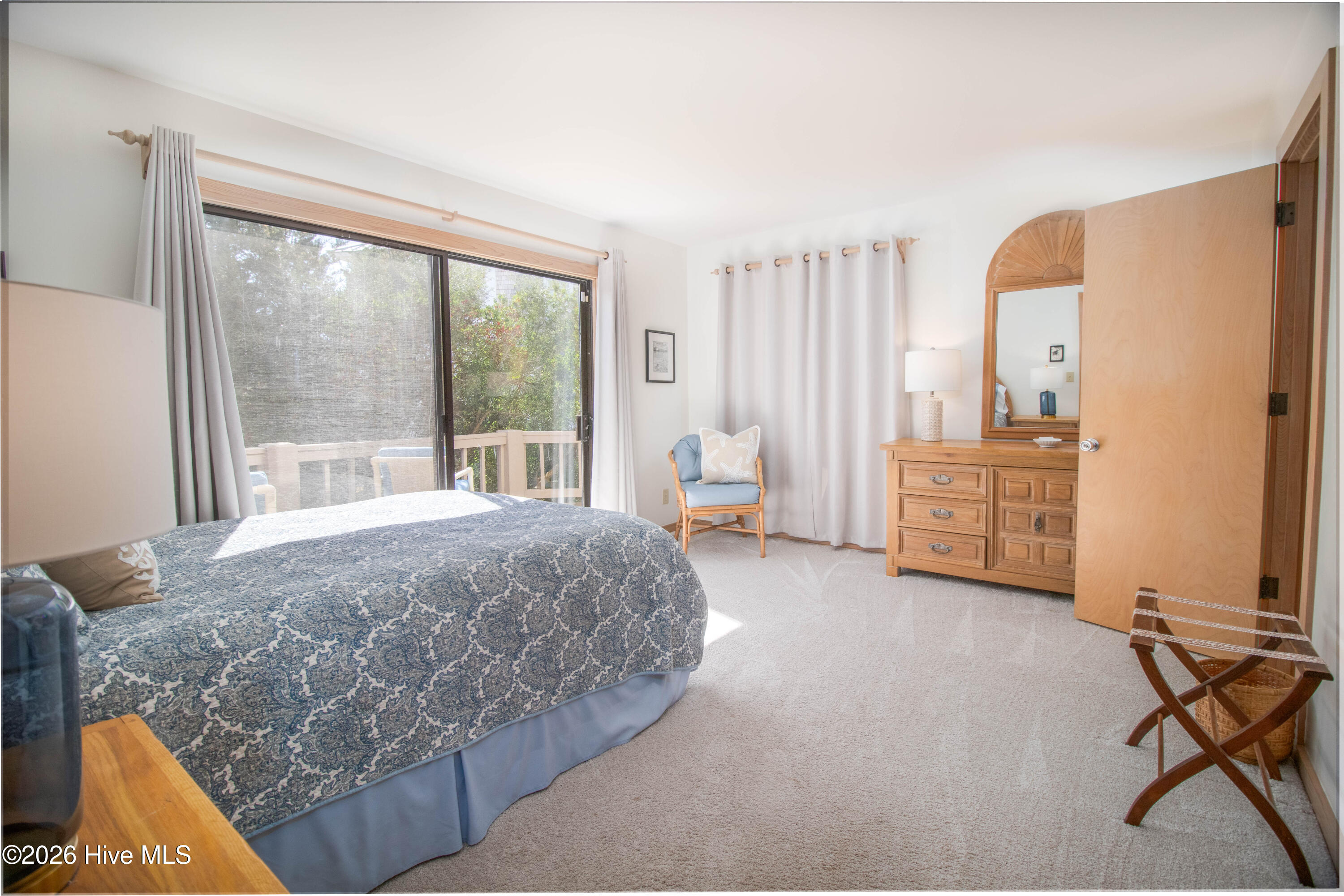 100559137 | Photo 17