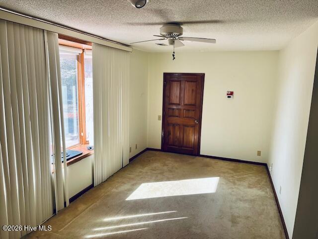 100531930 | Photo 34