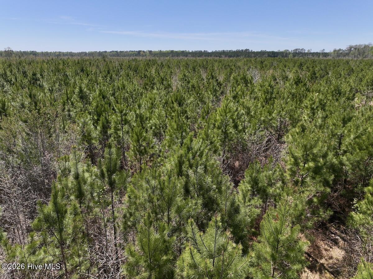 0 Guinea Mill Road, Ernul, NC, 28527