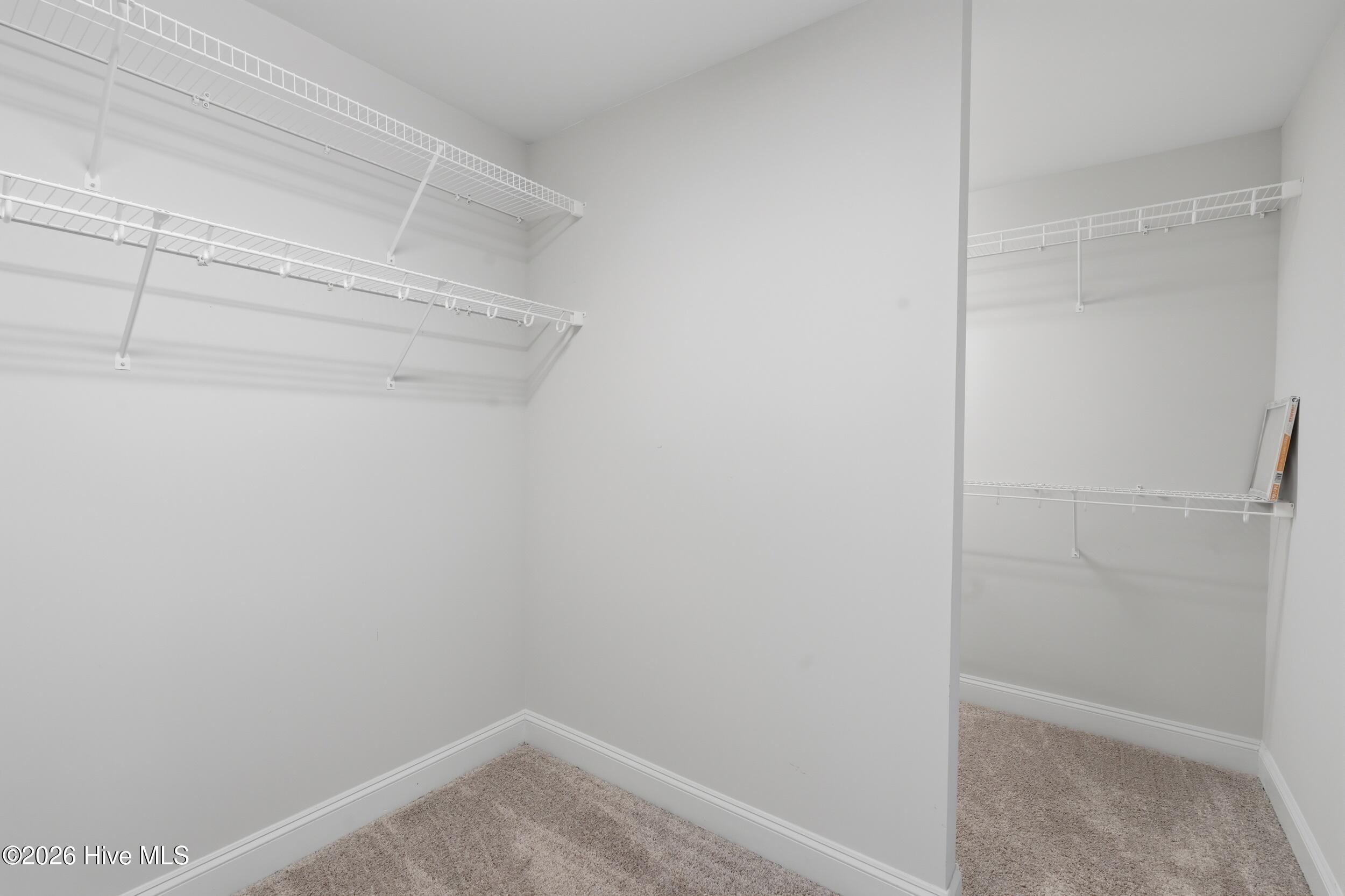 100559479 | Photo 29