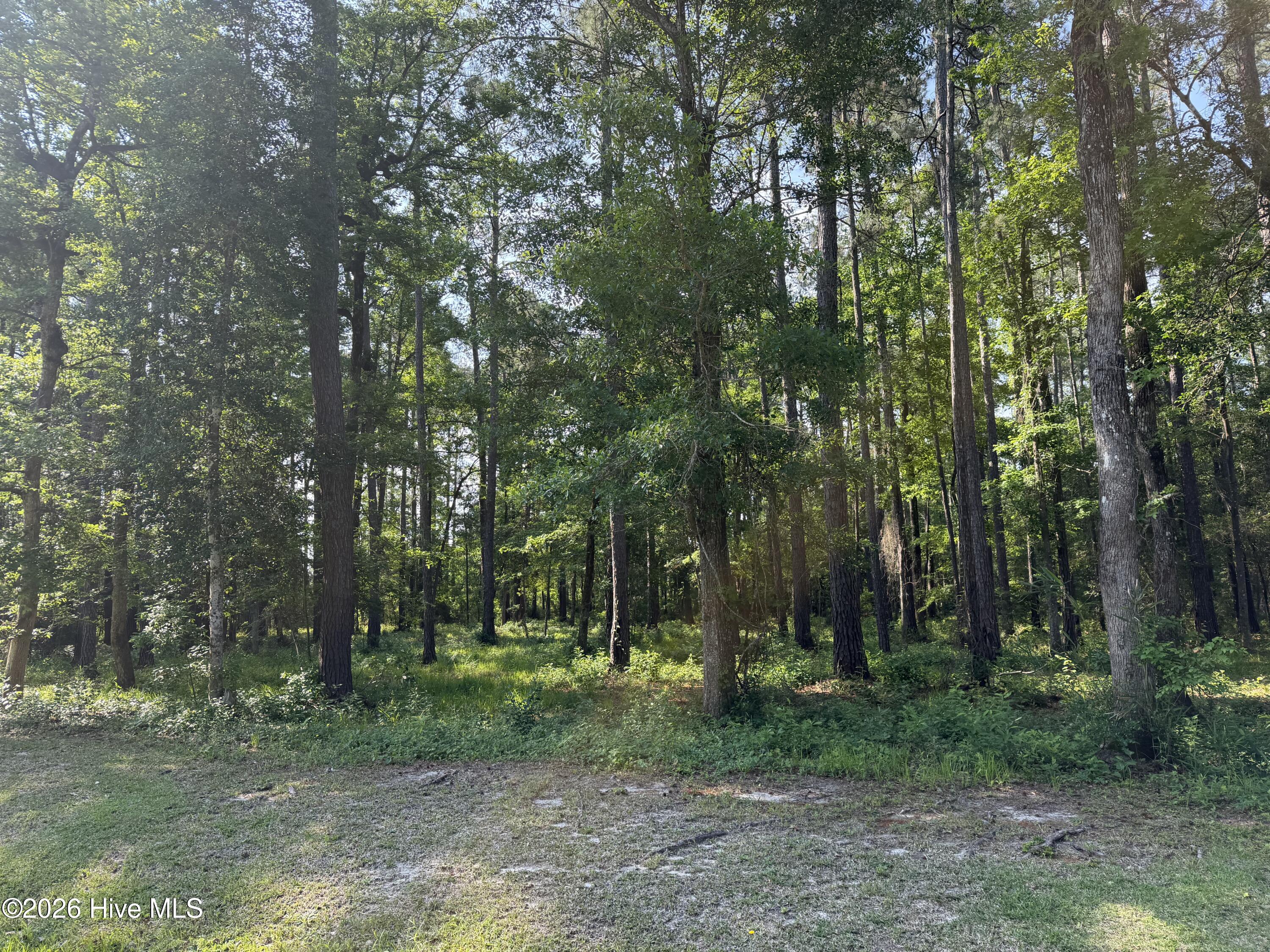 221 Bridgewater Drive,Beaufort