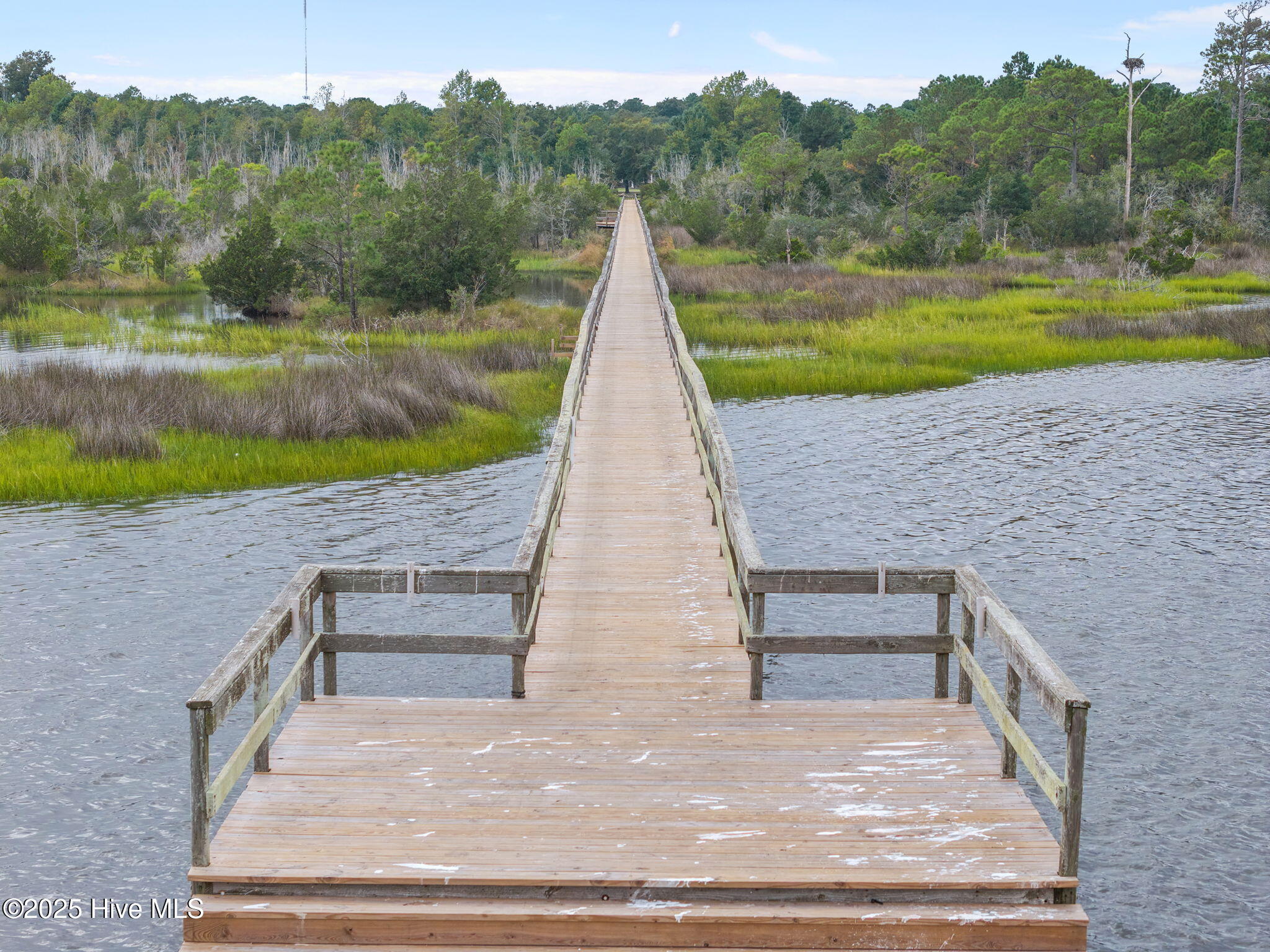 100530646 | Photo 65