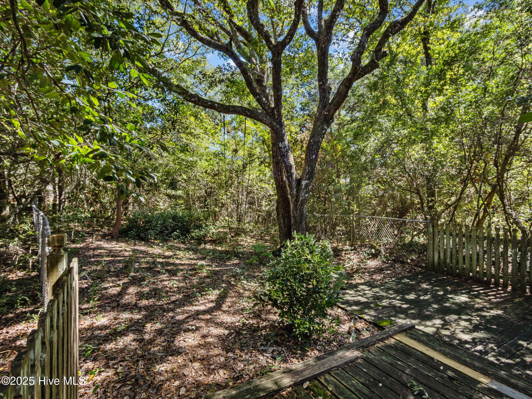 100533073 | Photo 43