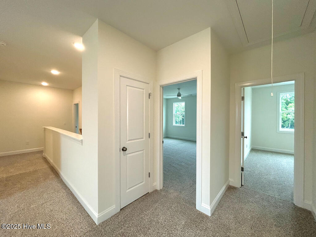 100510168 | Photo 59