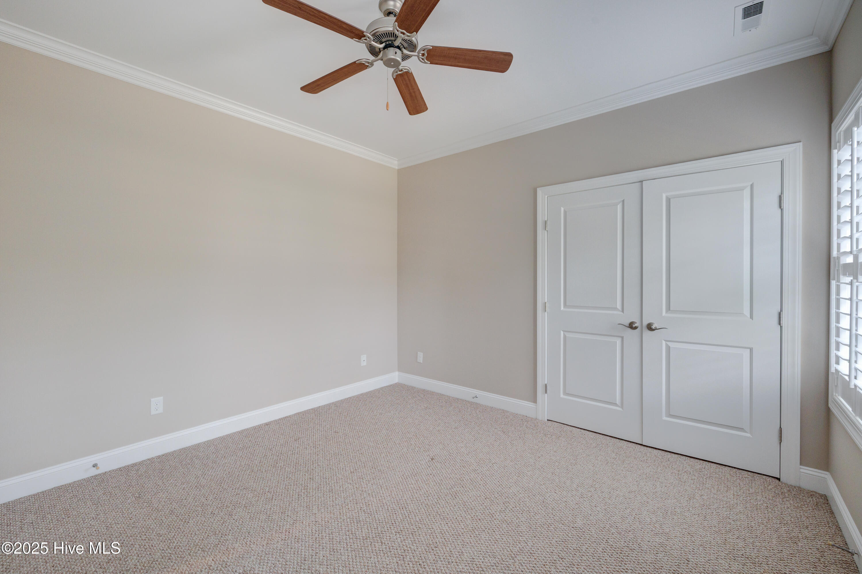 100527898 | Photo 40