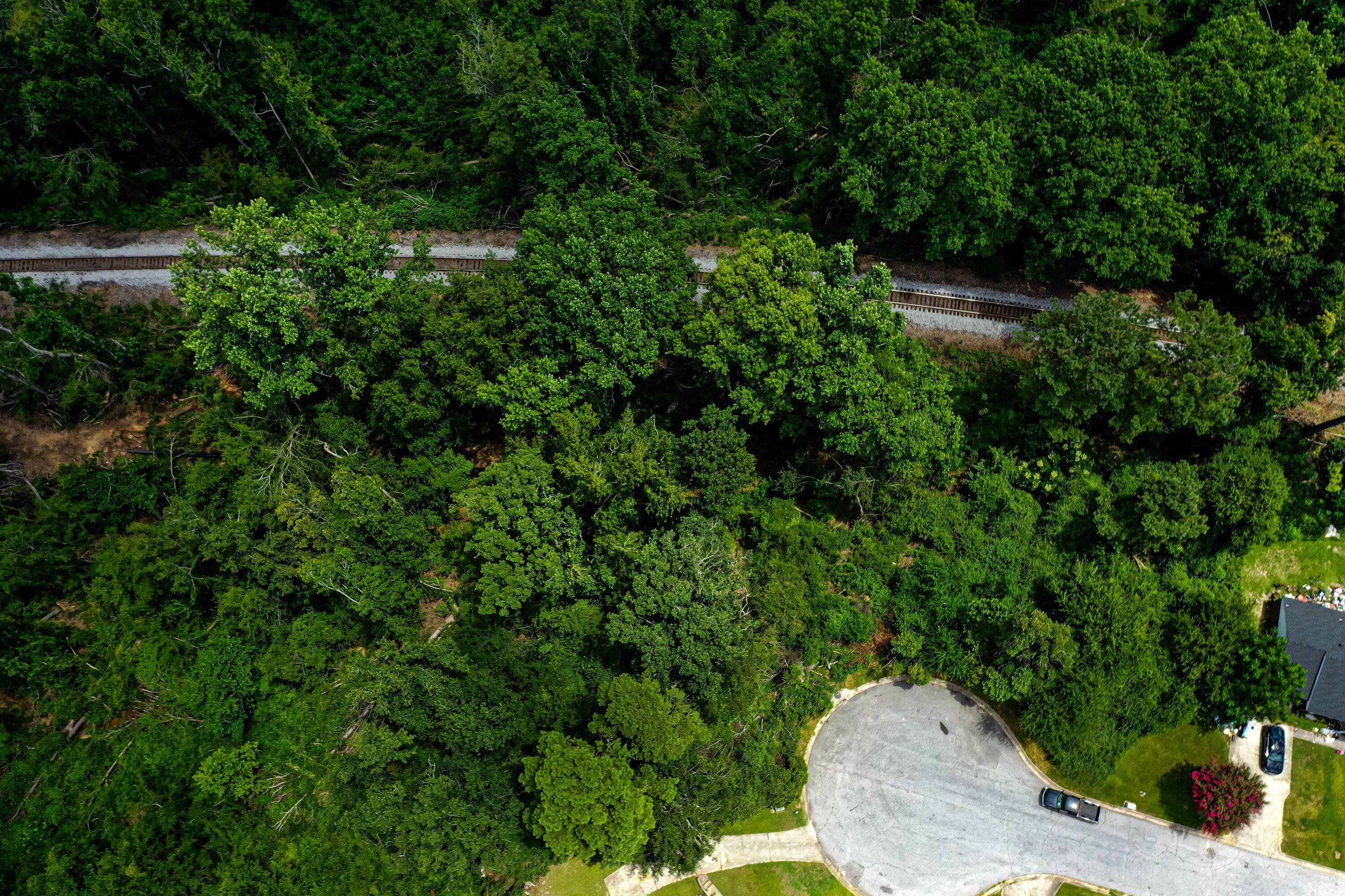 435 Evans Mill Dr-38