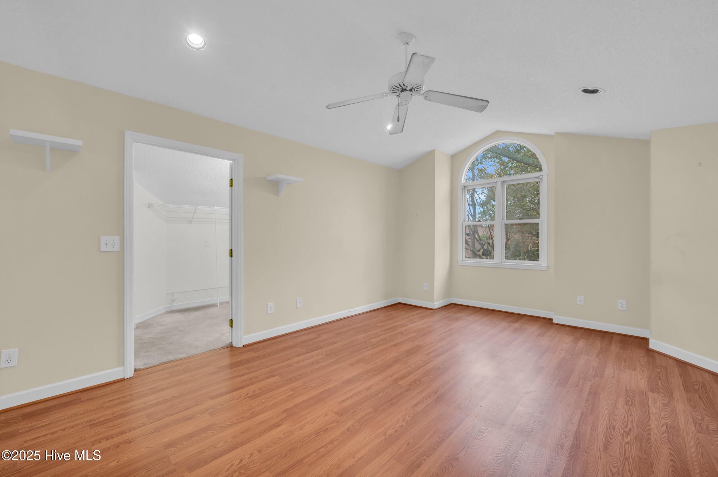 100546535 | Photo 30