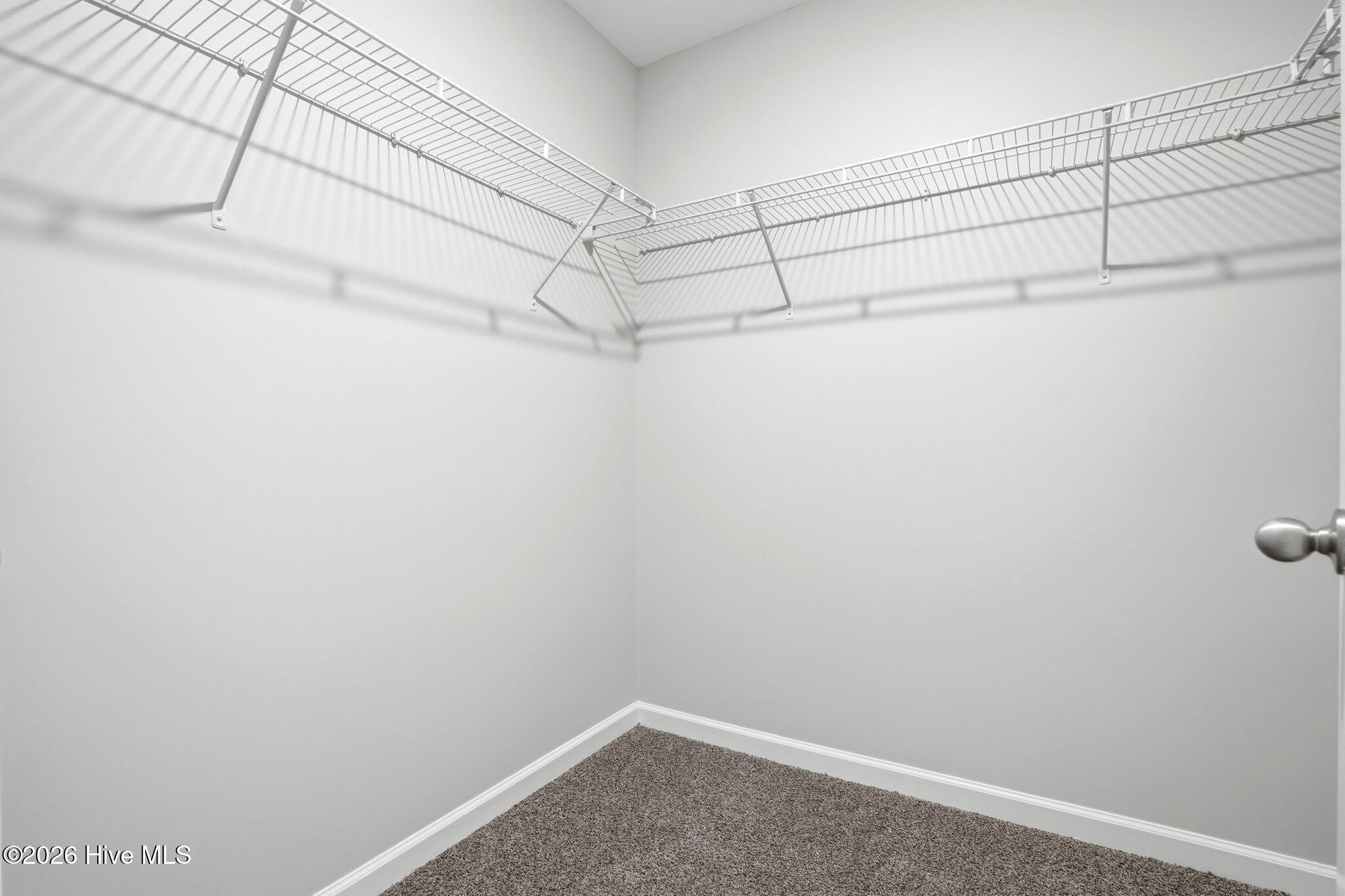 100558624 | Photo 31