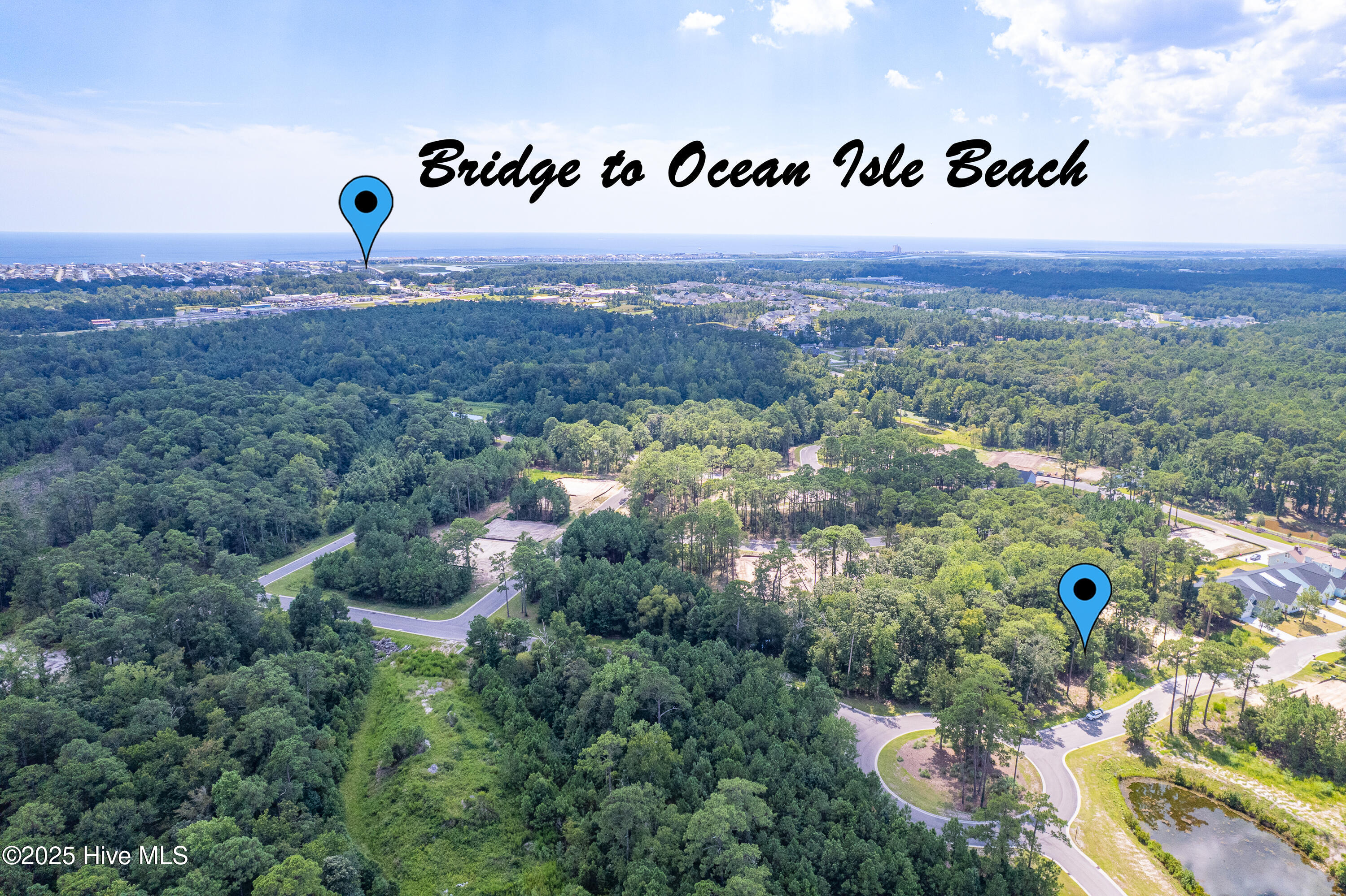 100525584 | Photo 15