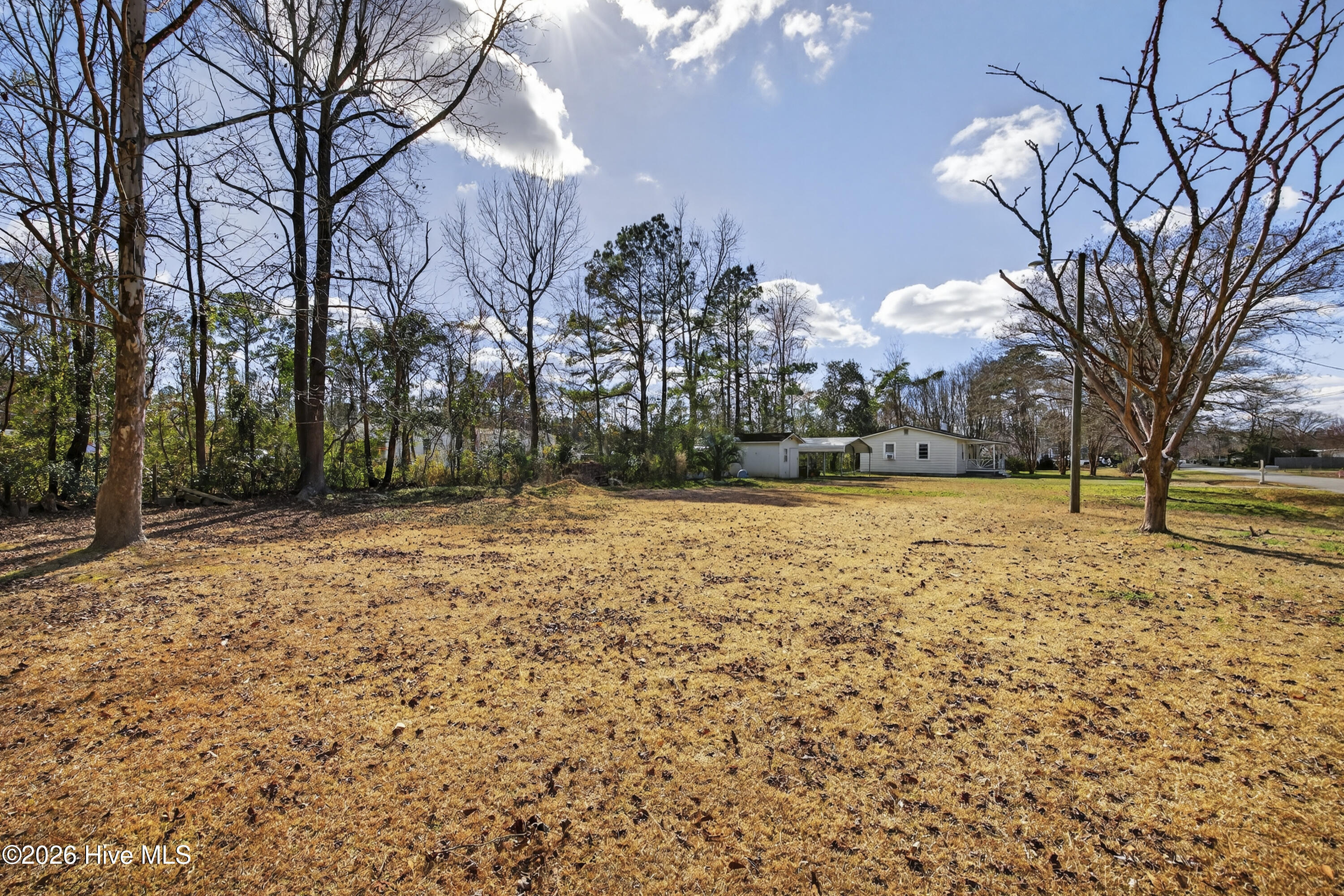 100556676 | Photo 27