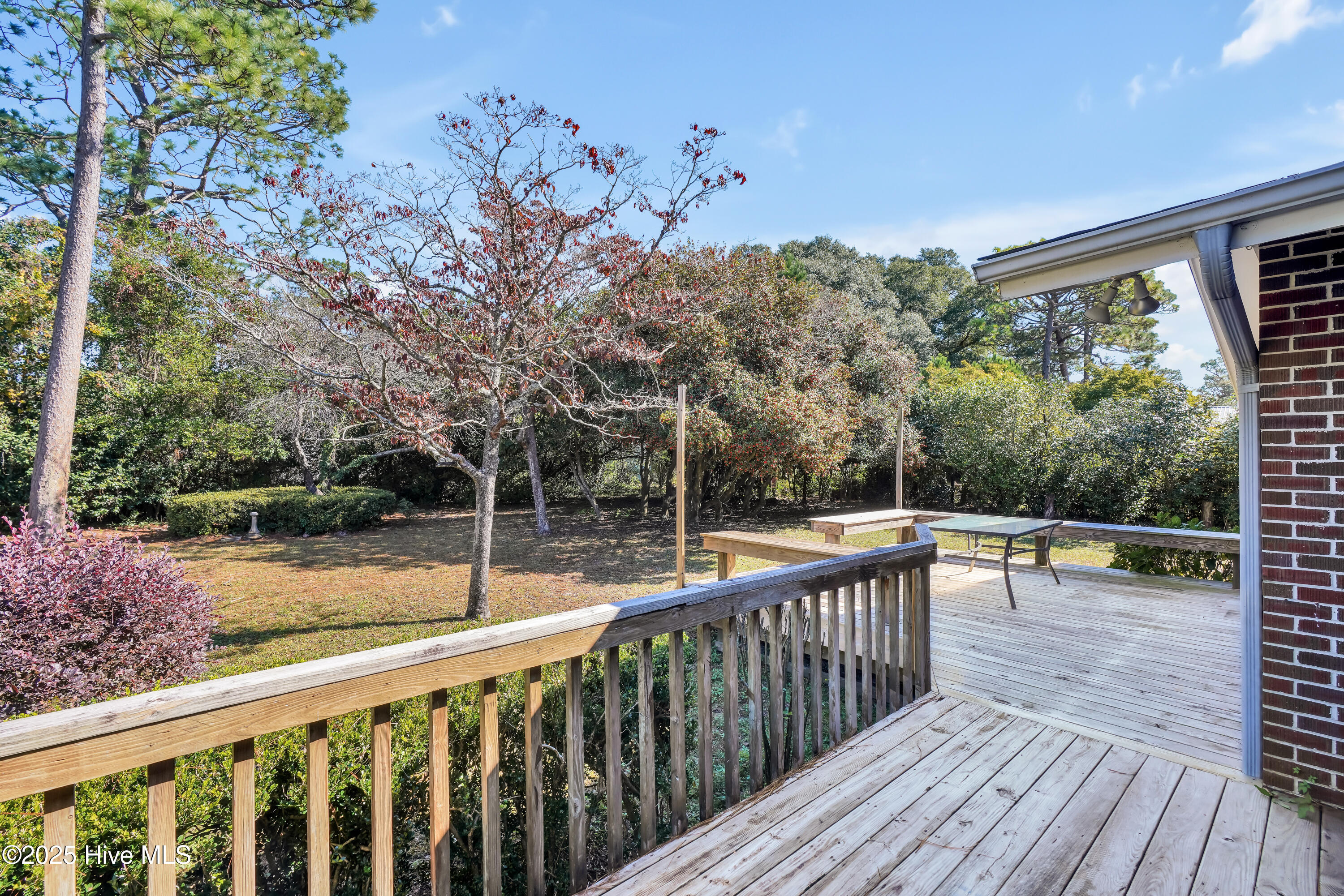 100539794 | Photo 34