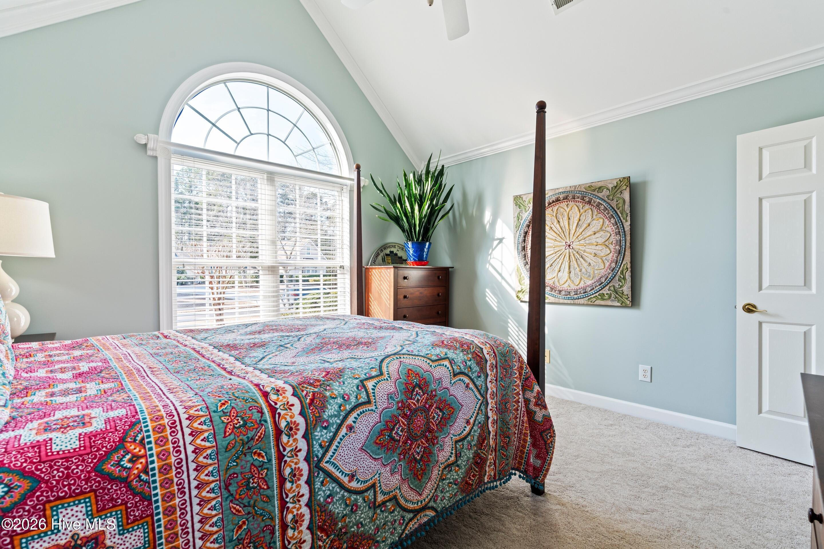 100549552 | Photo 43