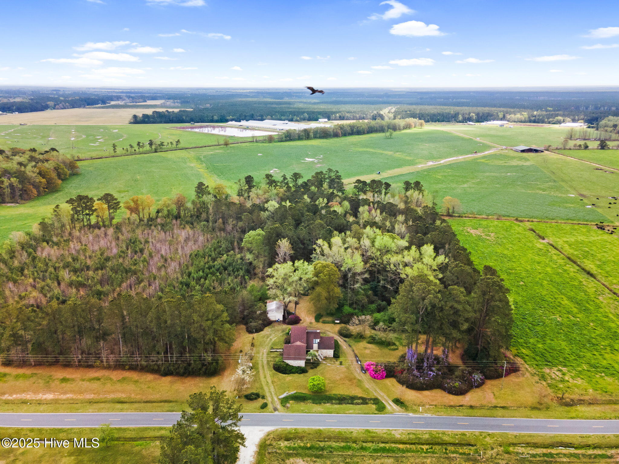 100557688 | Photo 46