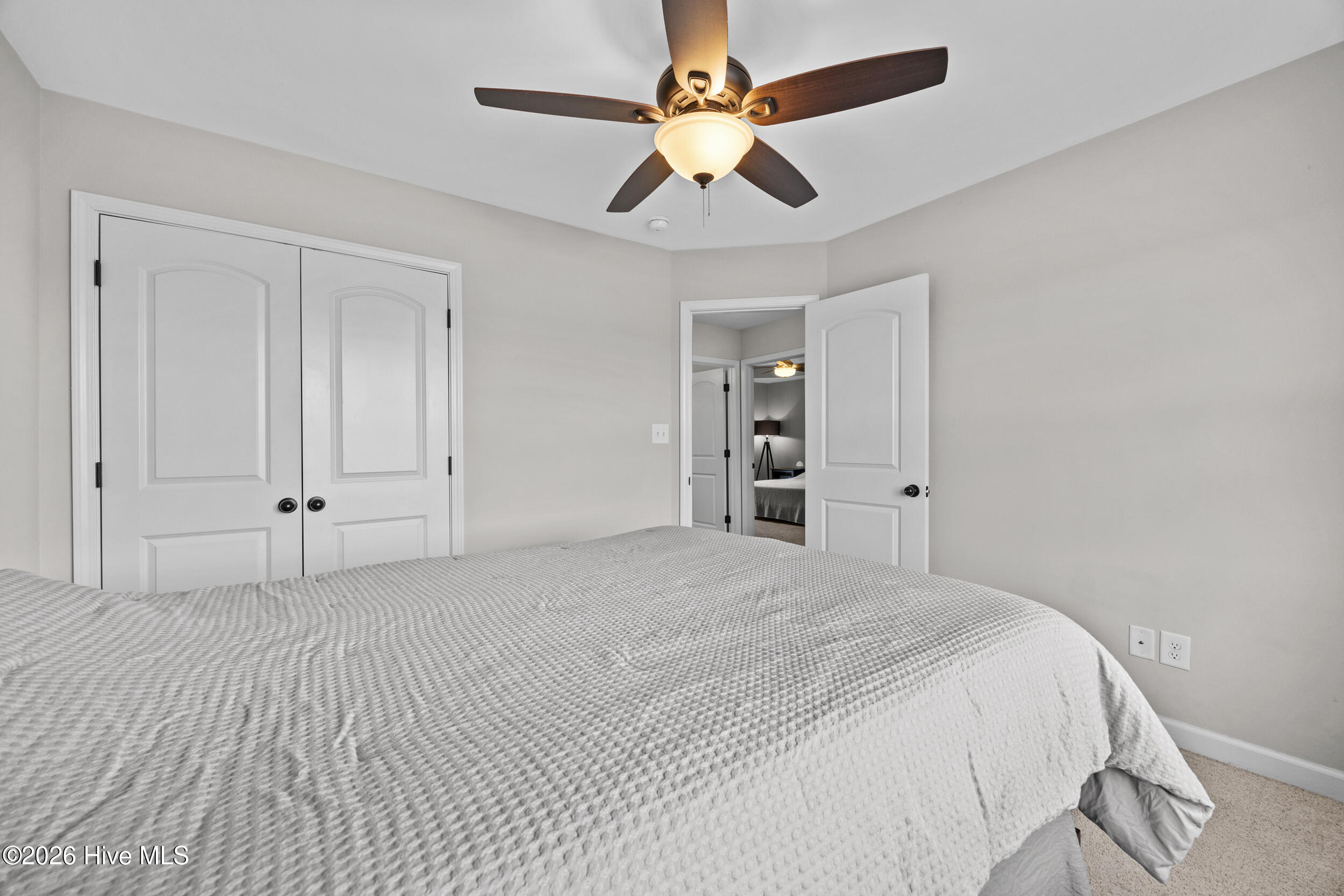 100558601 | Photo 21