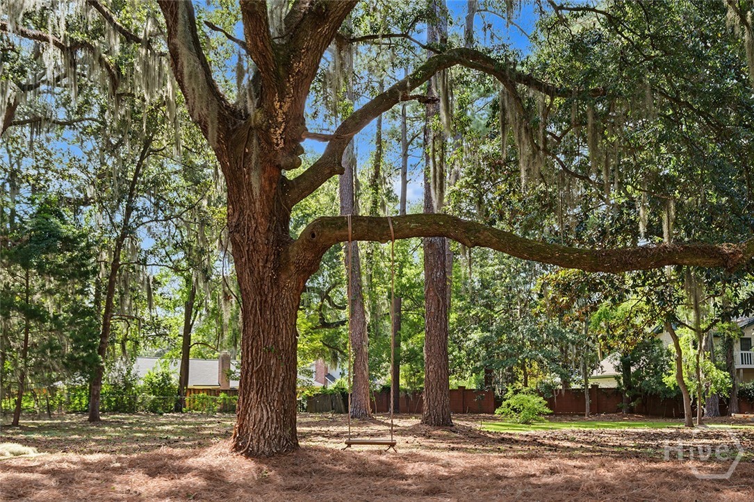 Swing beneath the oaks