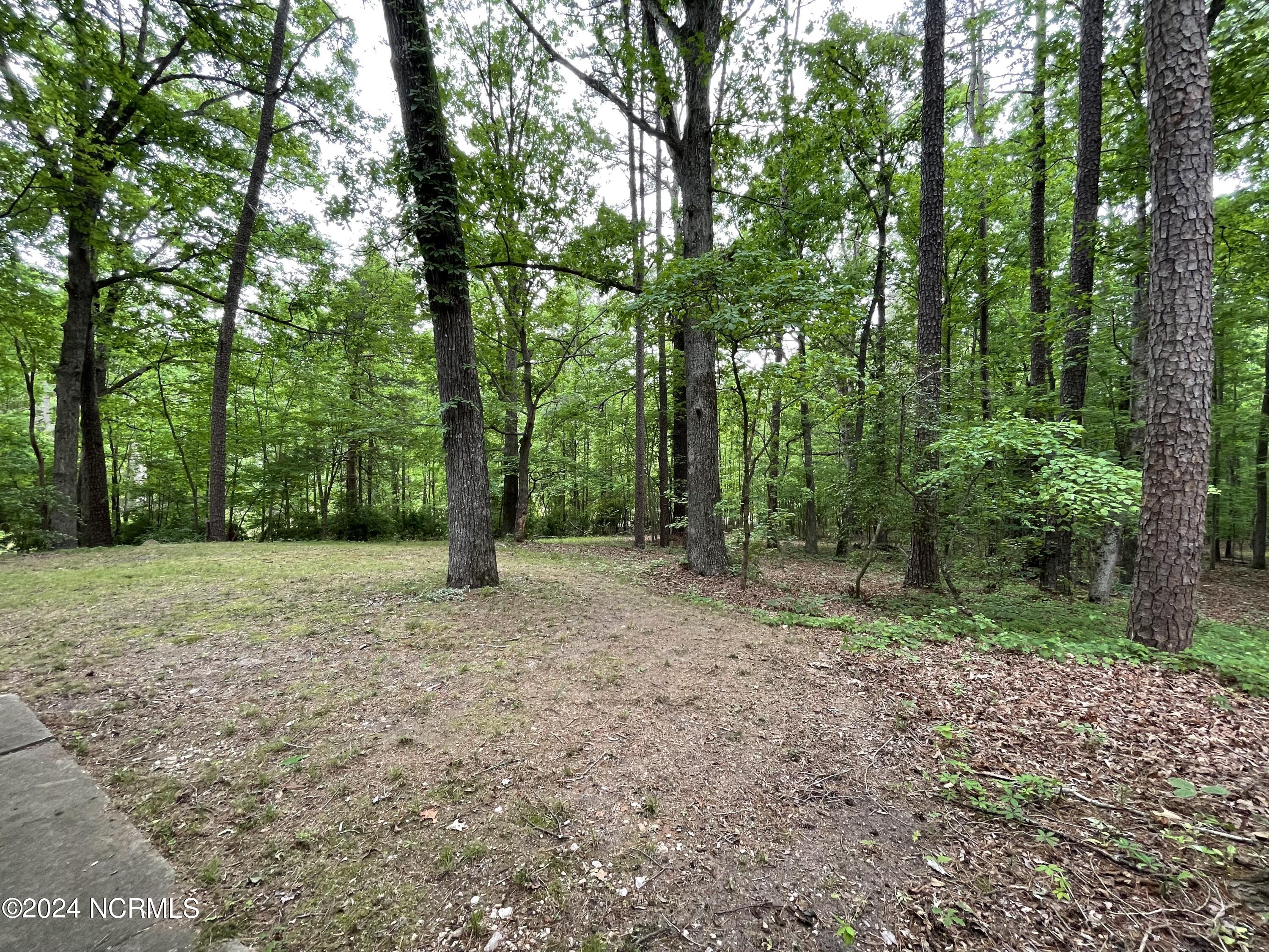 Homes for sale in Carthage, NC | 2592 Old Glendon Rd, Carthage, NC 28327 | MLS# 100442109