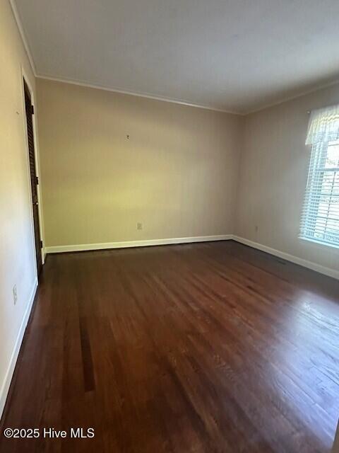 100505864 | Photo 20