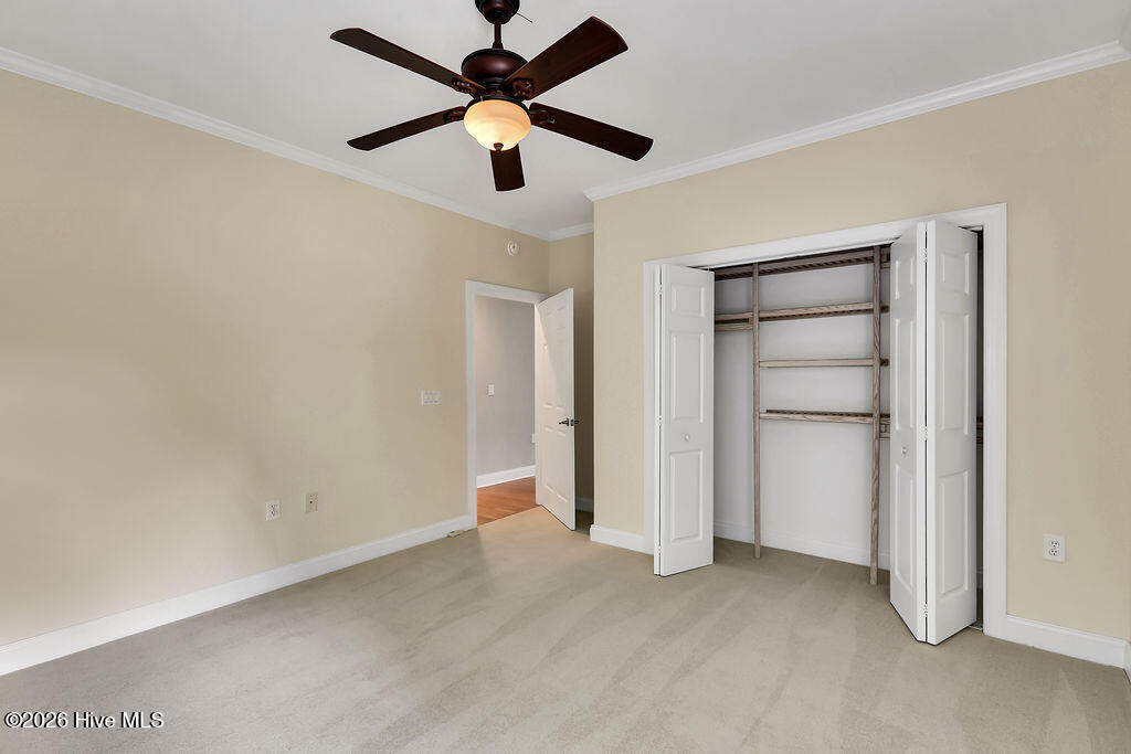 100558712 | Photo 26