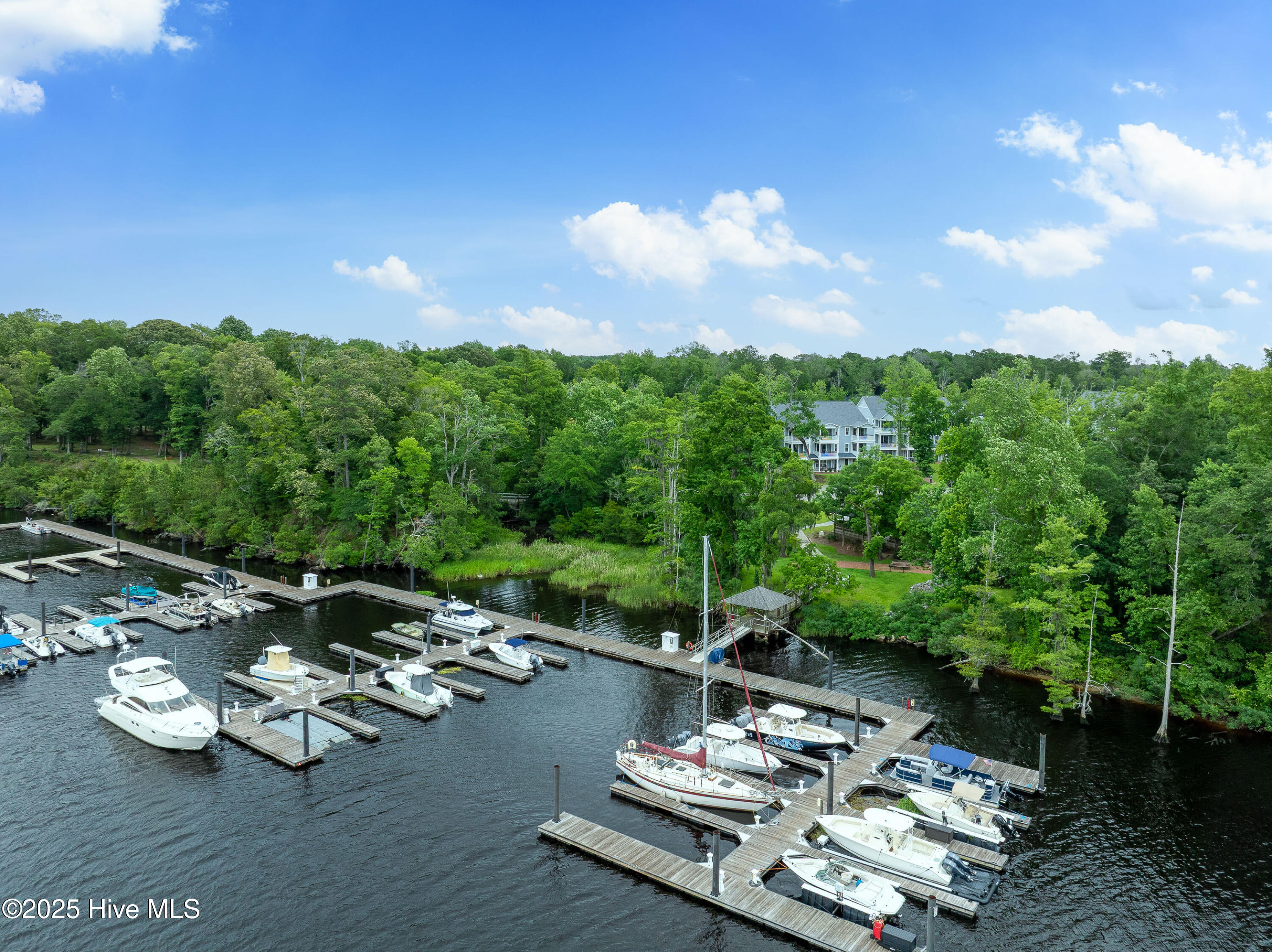 Homes for sale in Castle Hayne, NC | 243 Sabal Pond Way, Castle Hayne, NC 28429 | MLS# 100516528