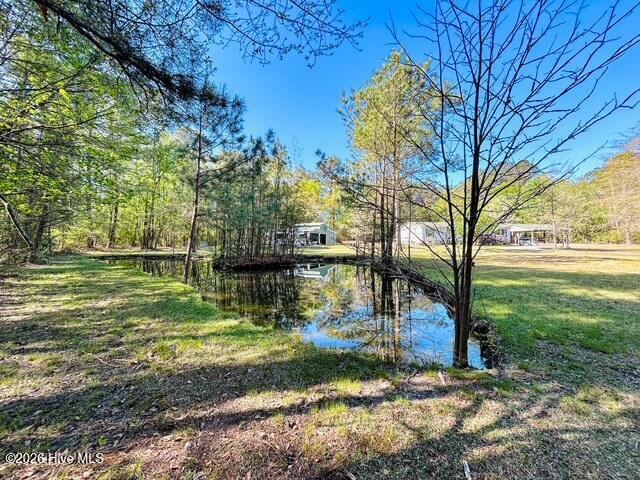 100566420 | Photo 13