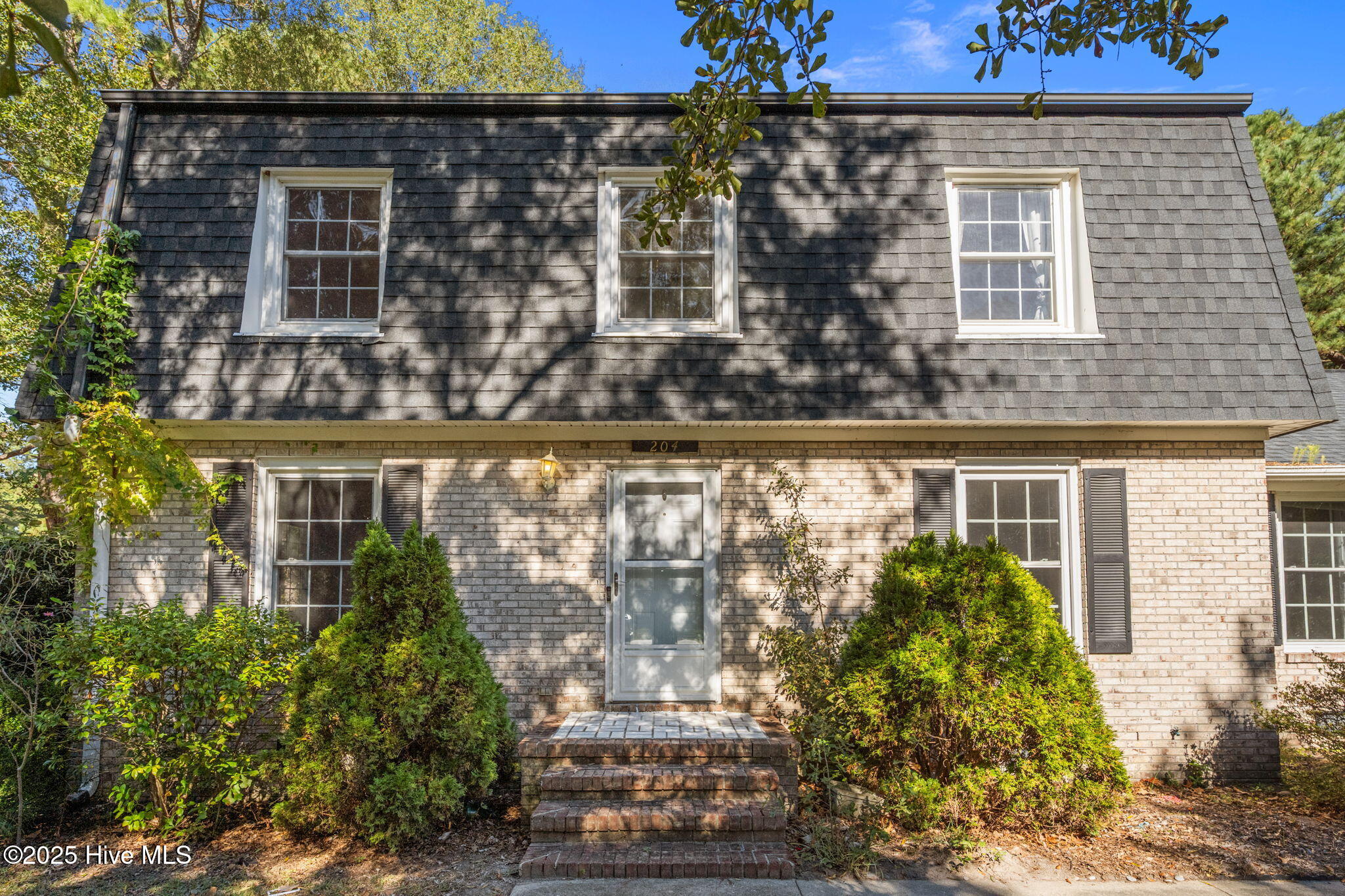 100537375 | Photo 11