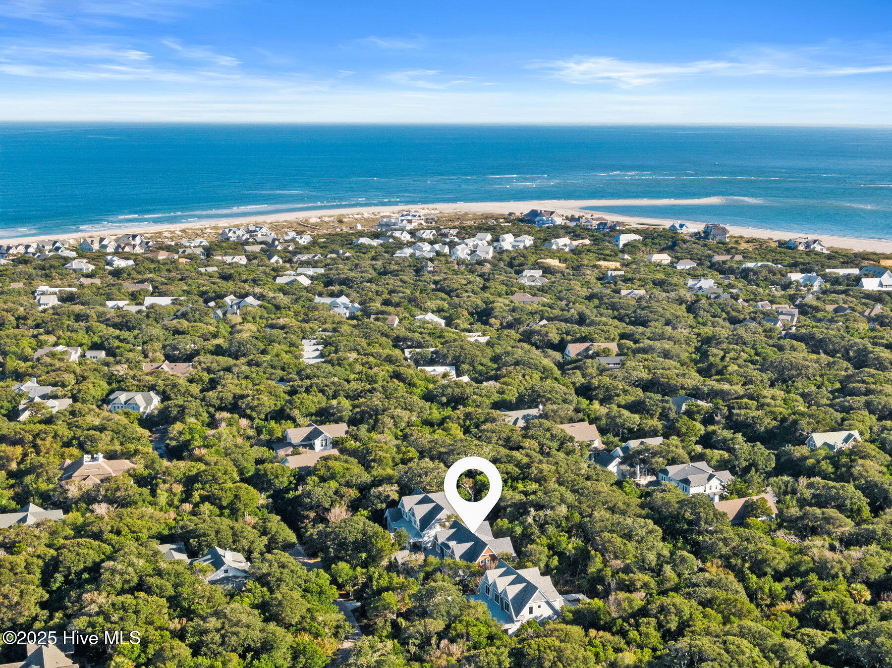 100401243 | Photo 100