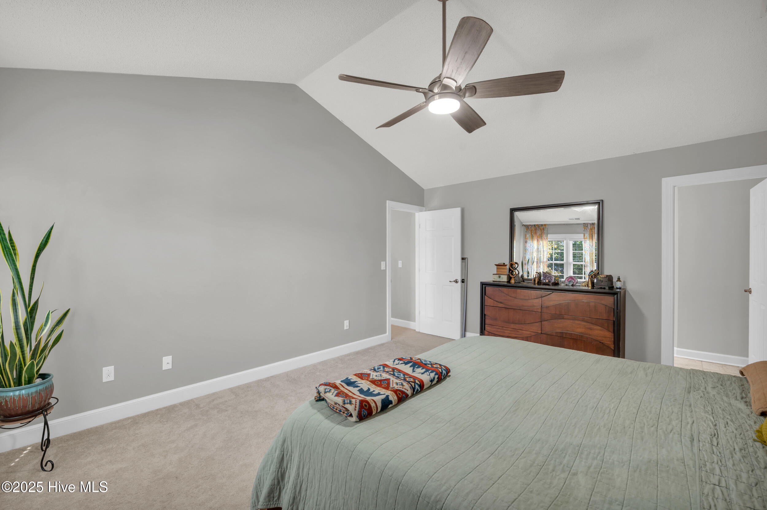 100537583 | Photo 24