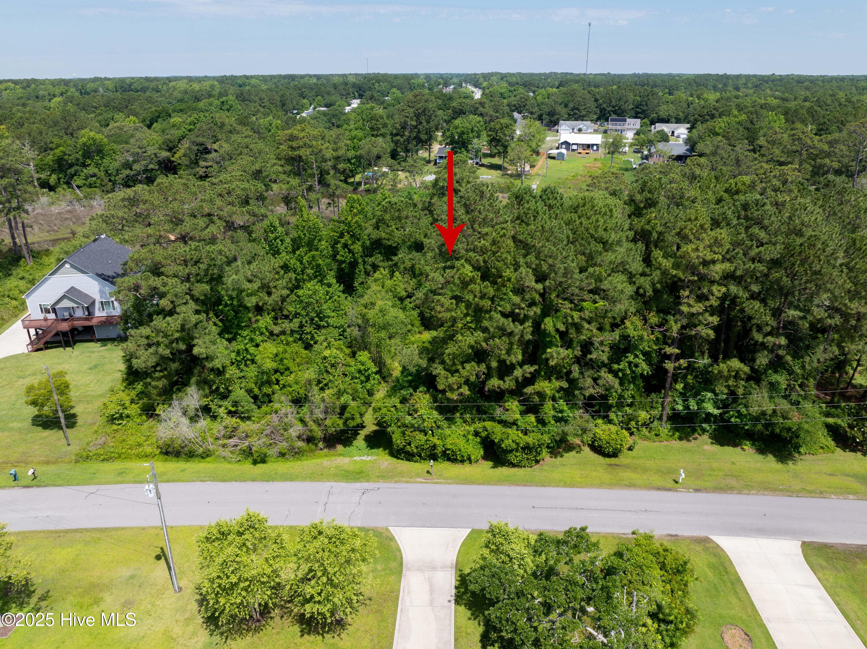 100559279 | Photo 15