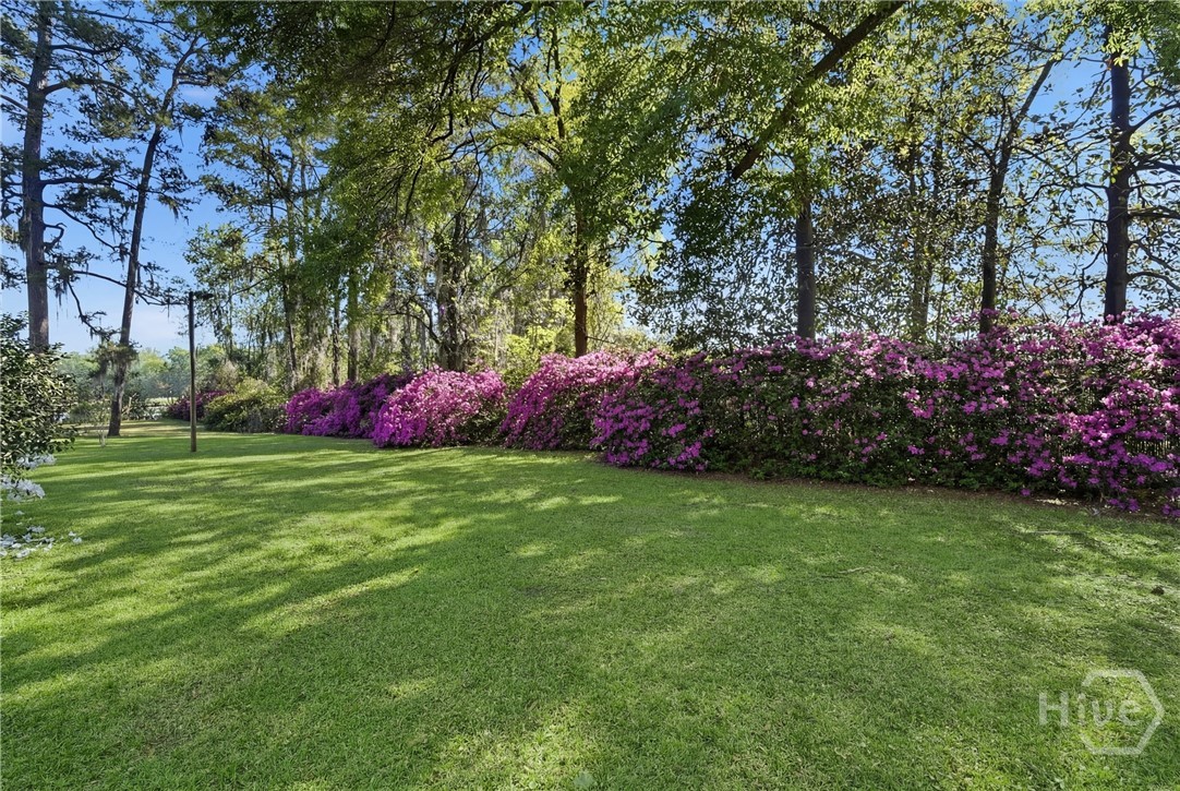 *Grass has been digitally enhanced*
