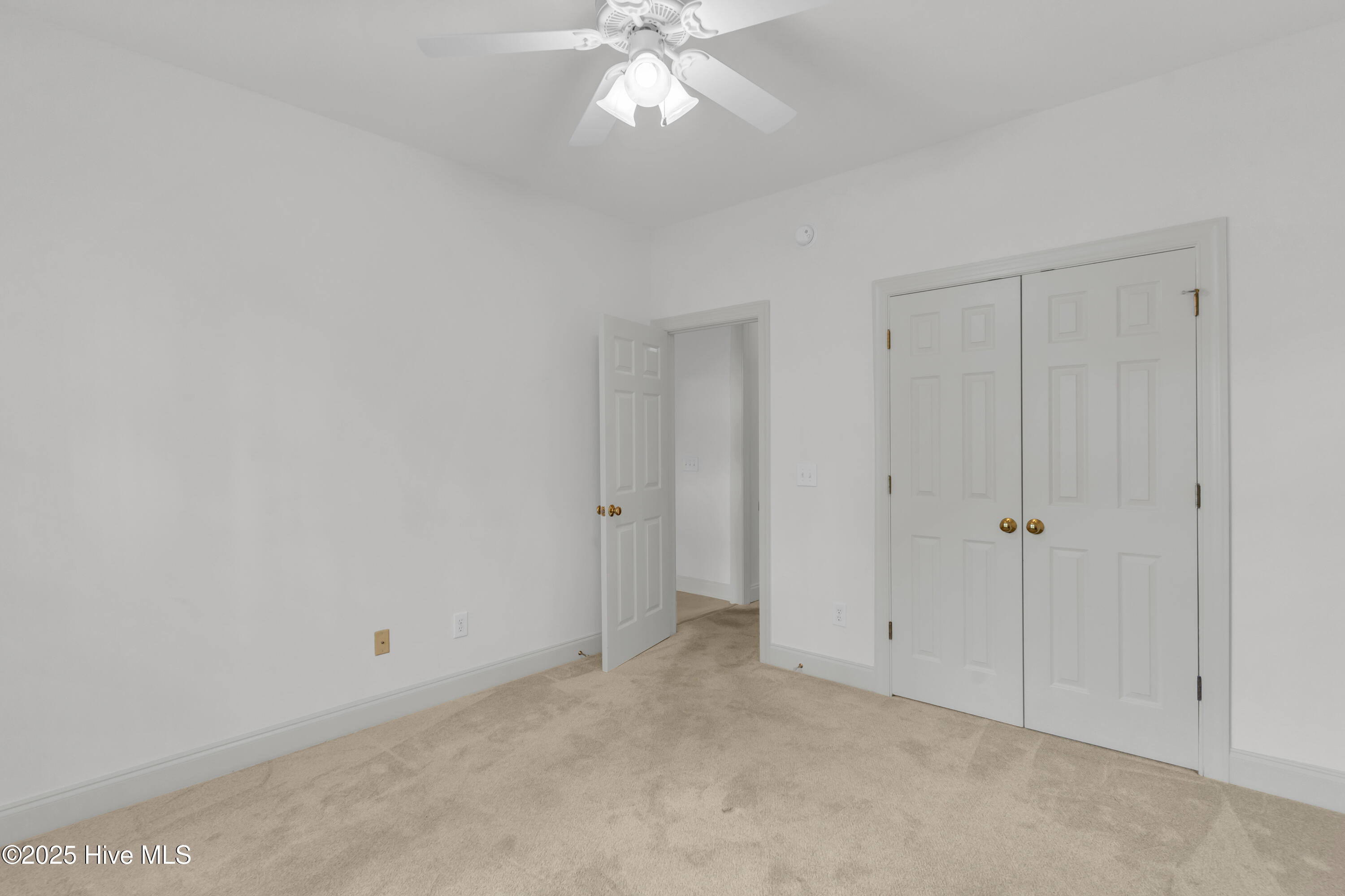 100523896 | Photo 28