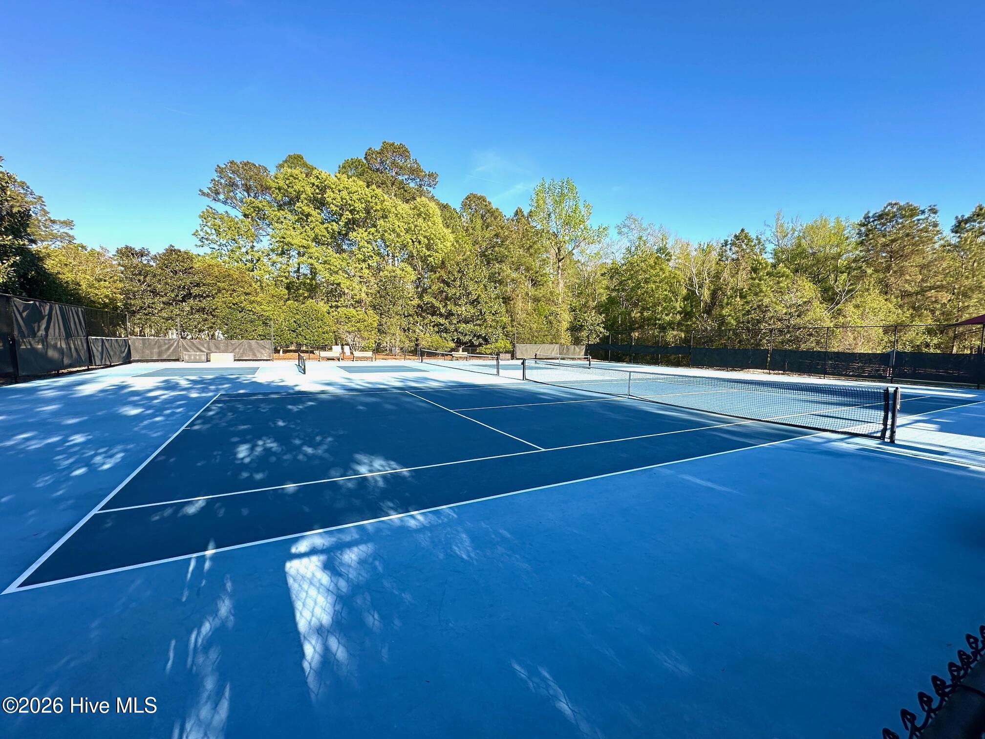 100565130 | Photo 59