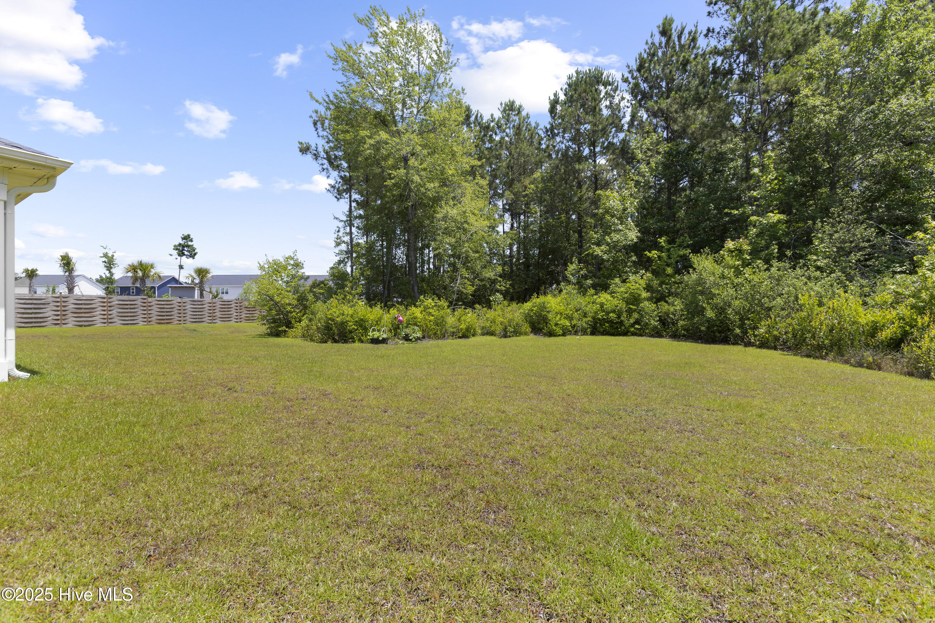 100511923 | Photo 22