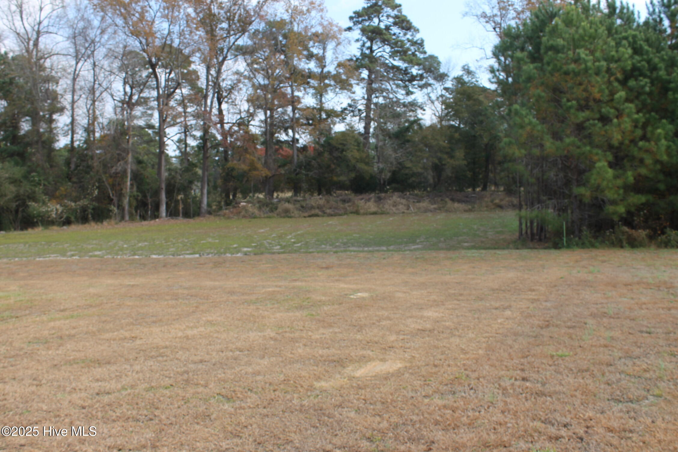 100542049 | Photo 11