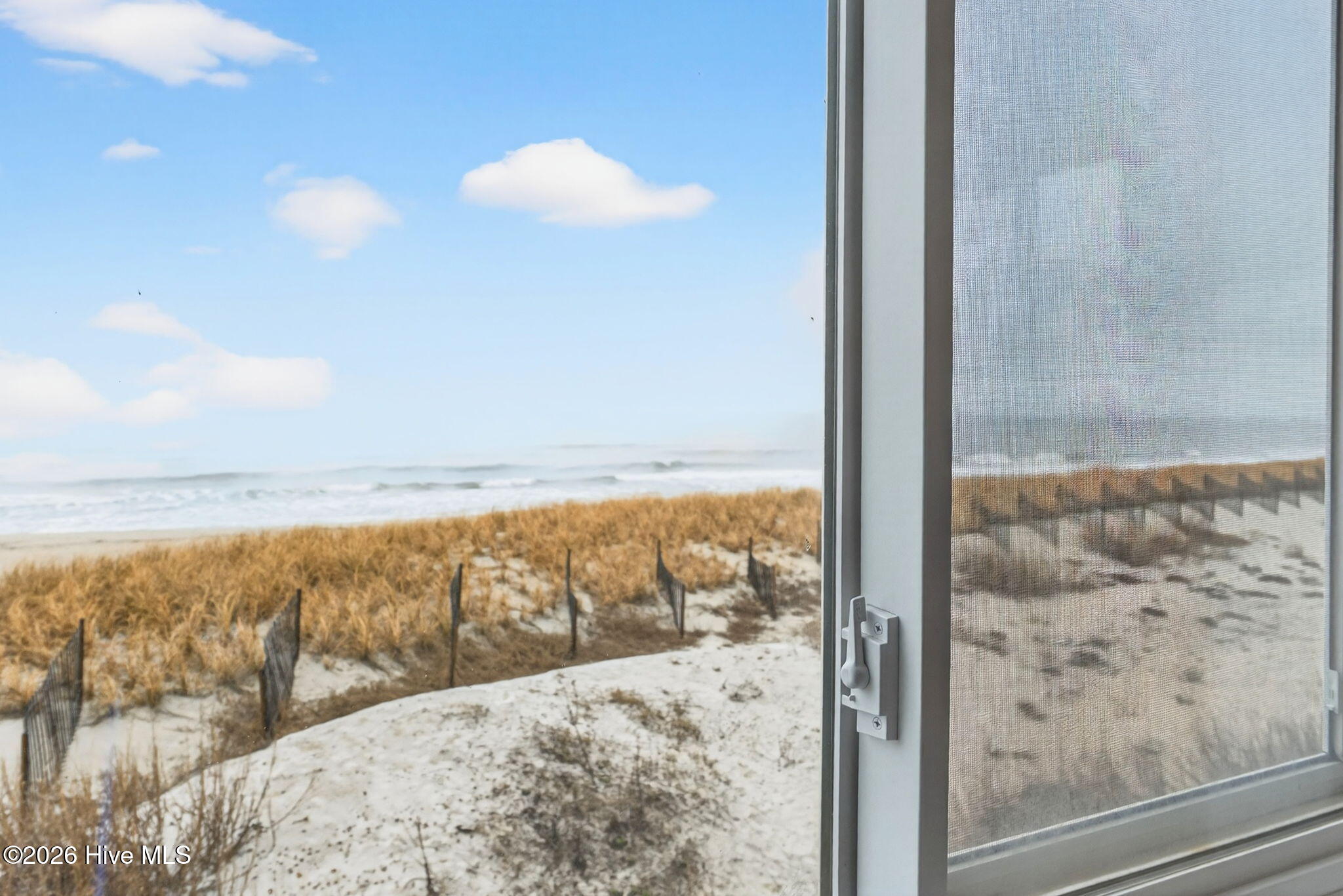 100558118 | Photo 26