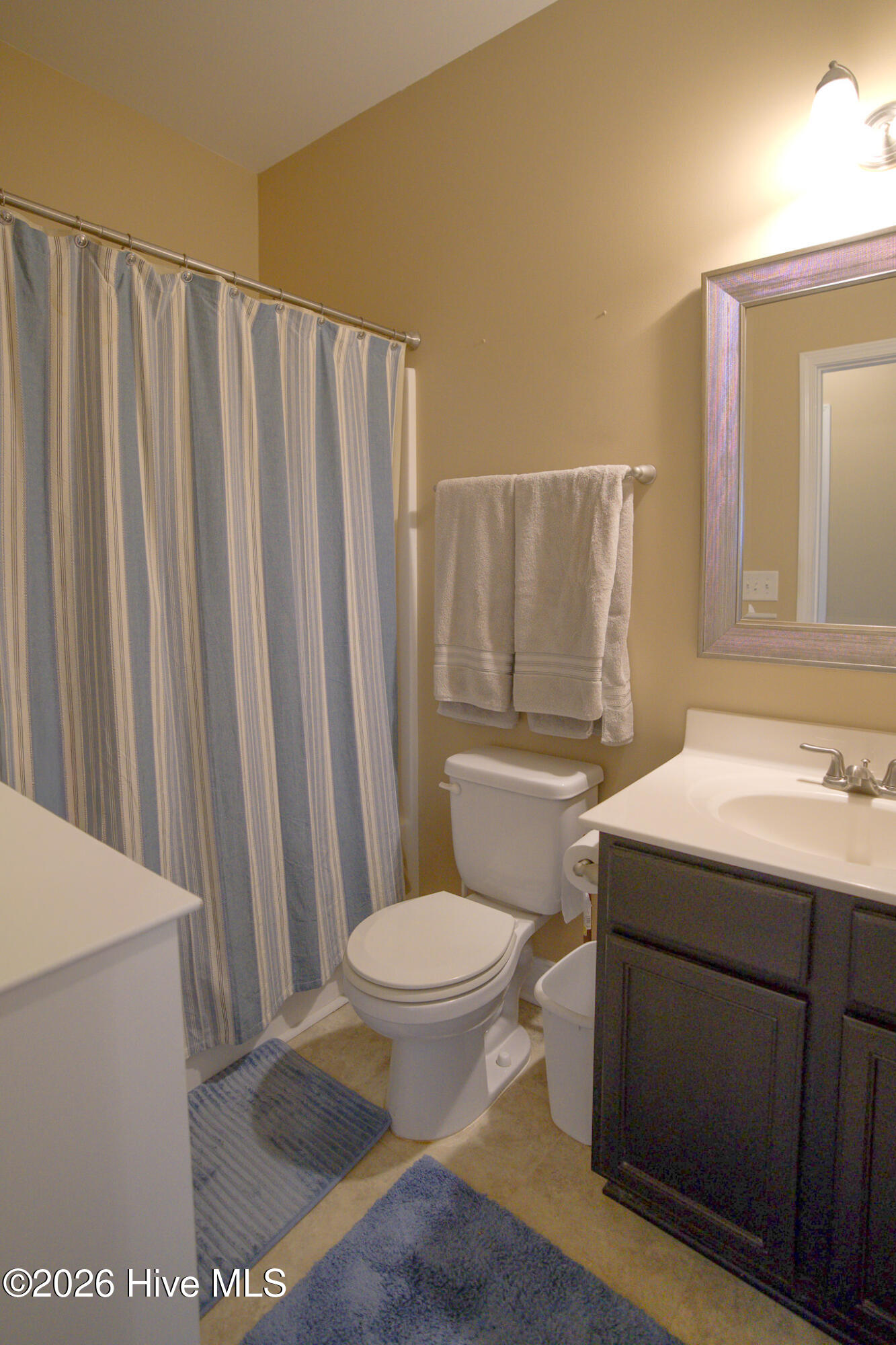 100553332 | Photo 10