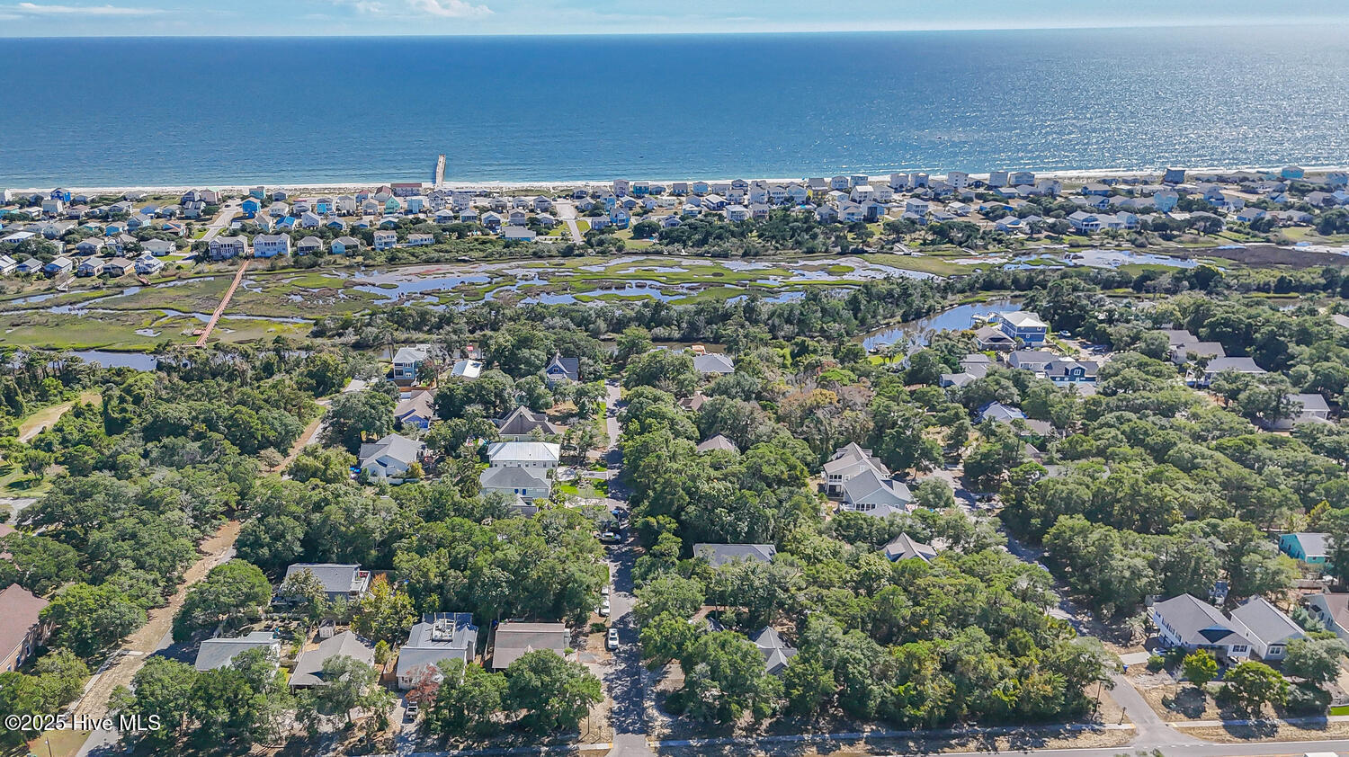 100532611 | Photo 11