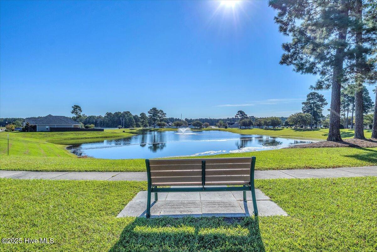 100527924 | Photo 36