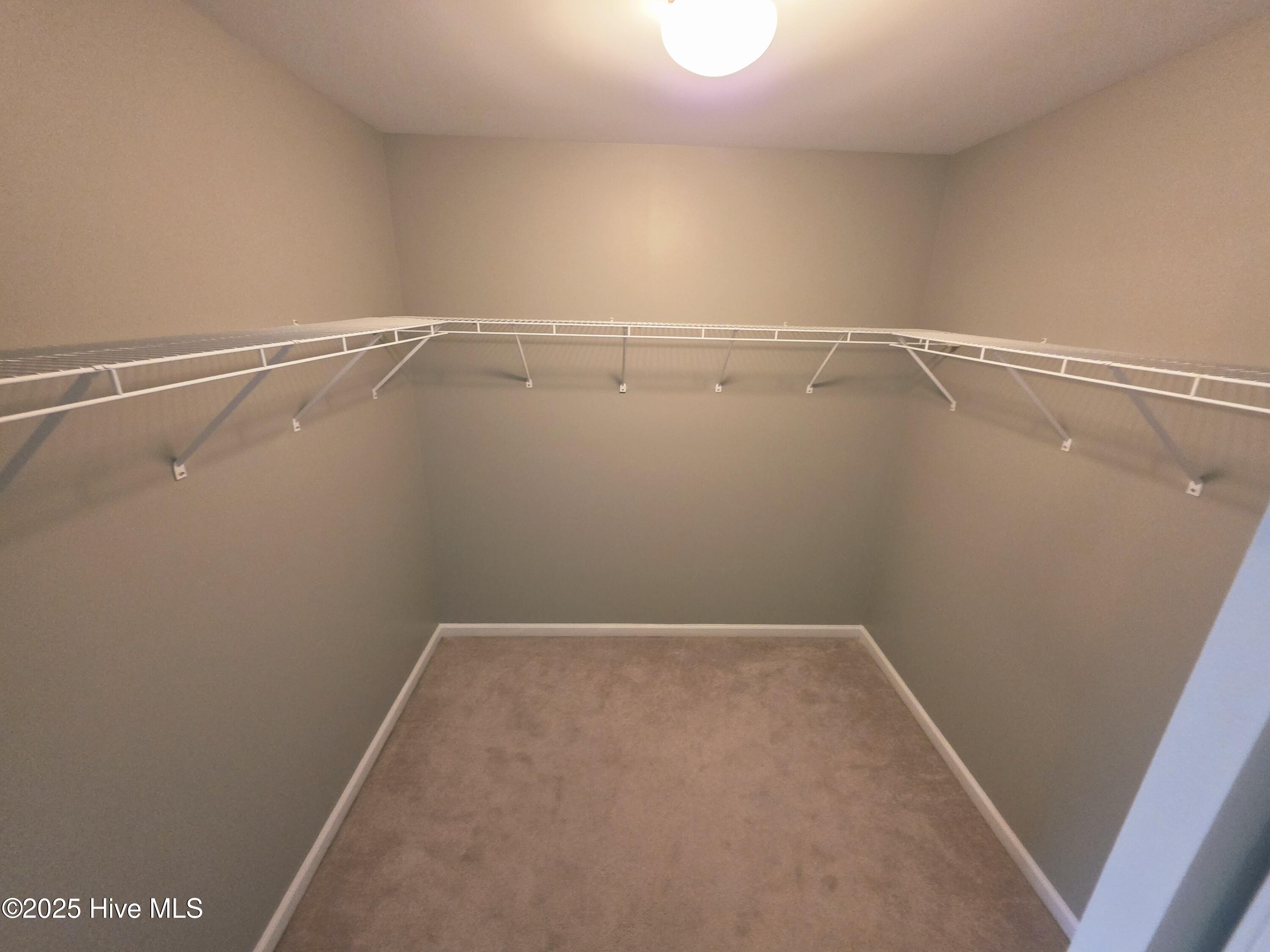 100545738 | Photo 12