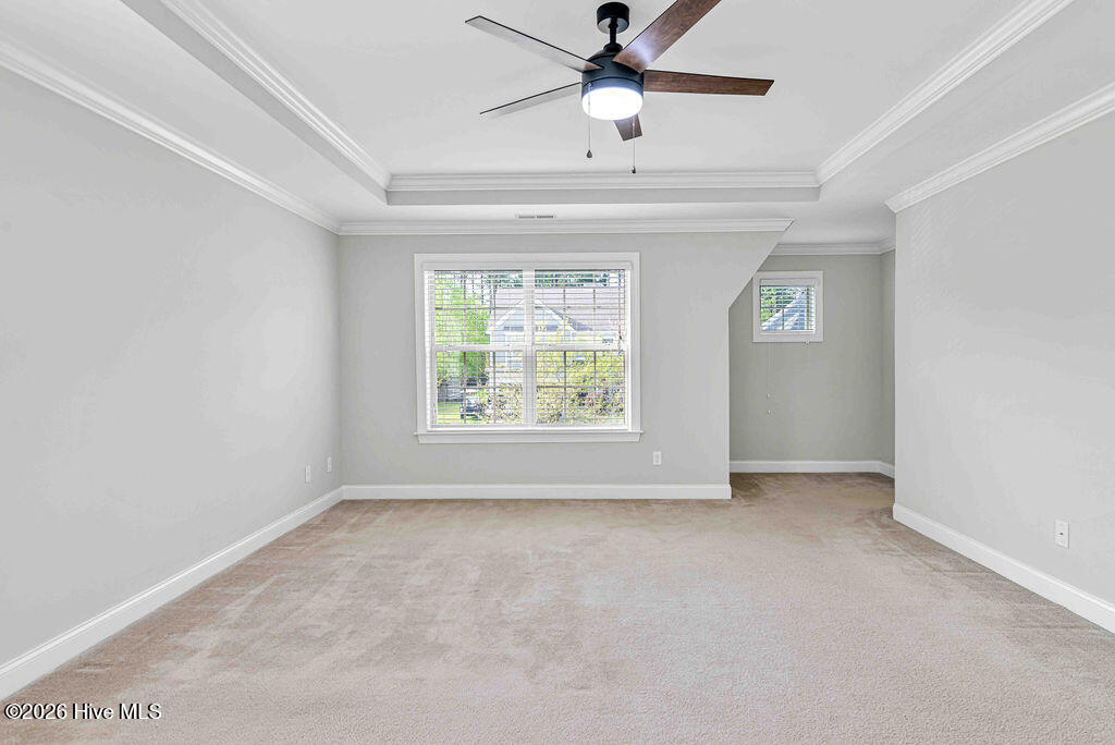 100566464 | Photo 44