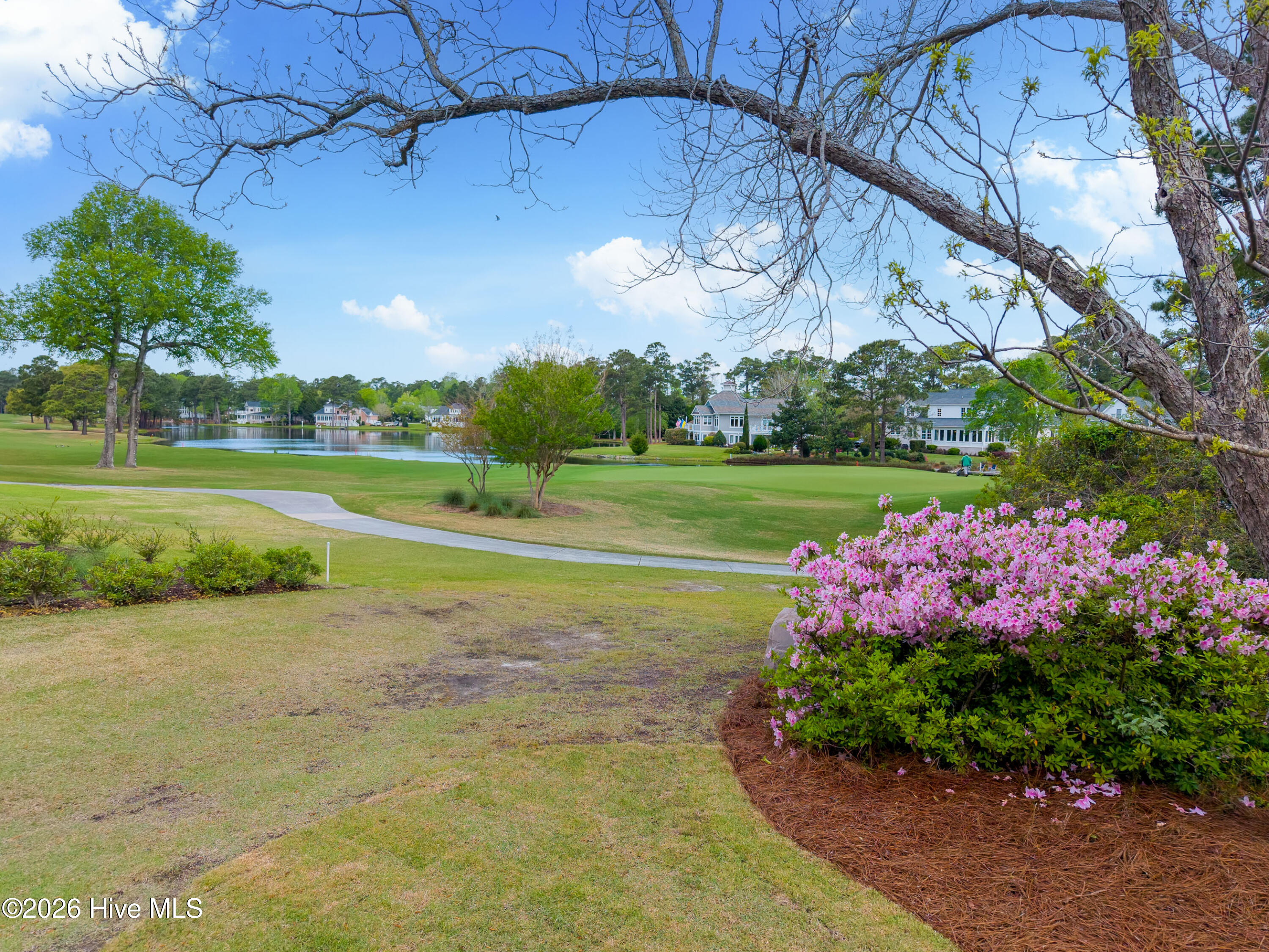 100568595 | Photo 44