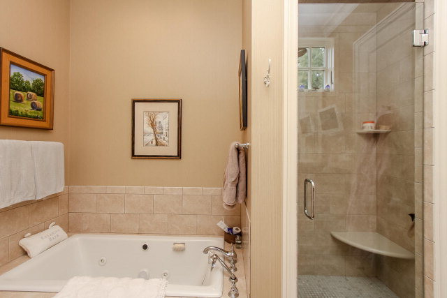 Owner's Bath