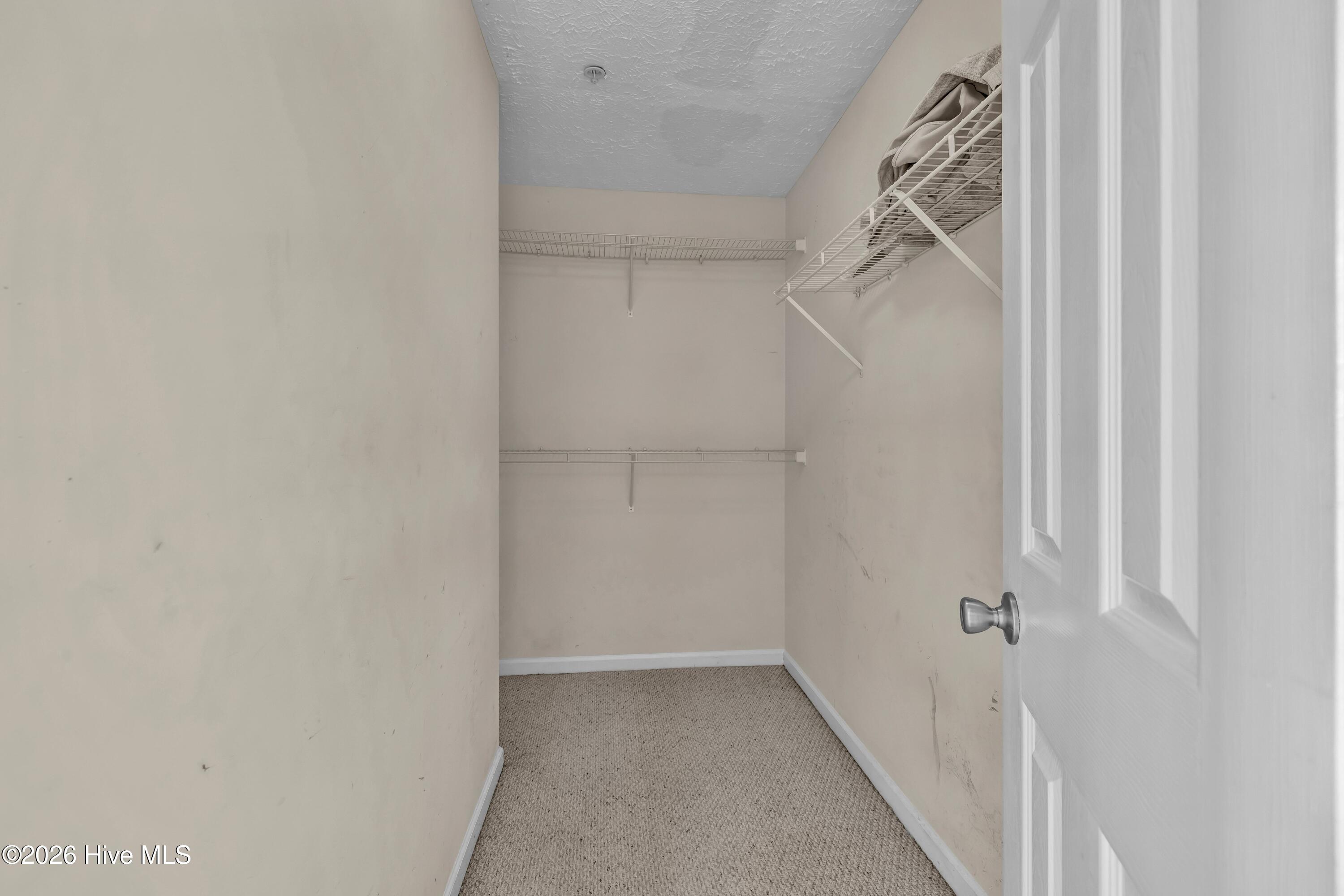 100554919 | Photo 13